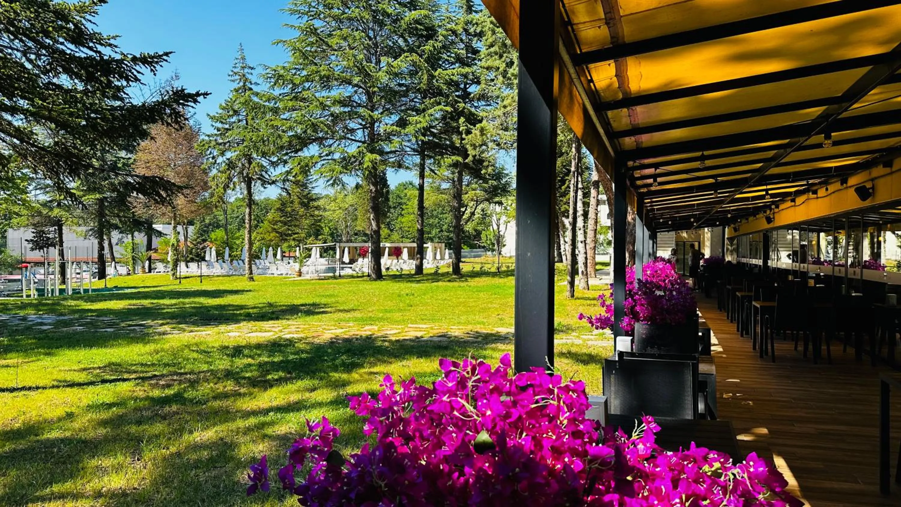 Garden view in Queen Nelly Park
