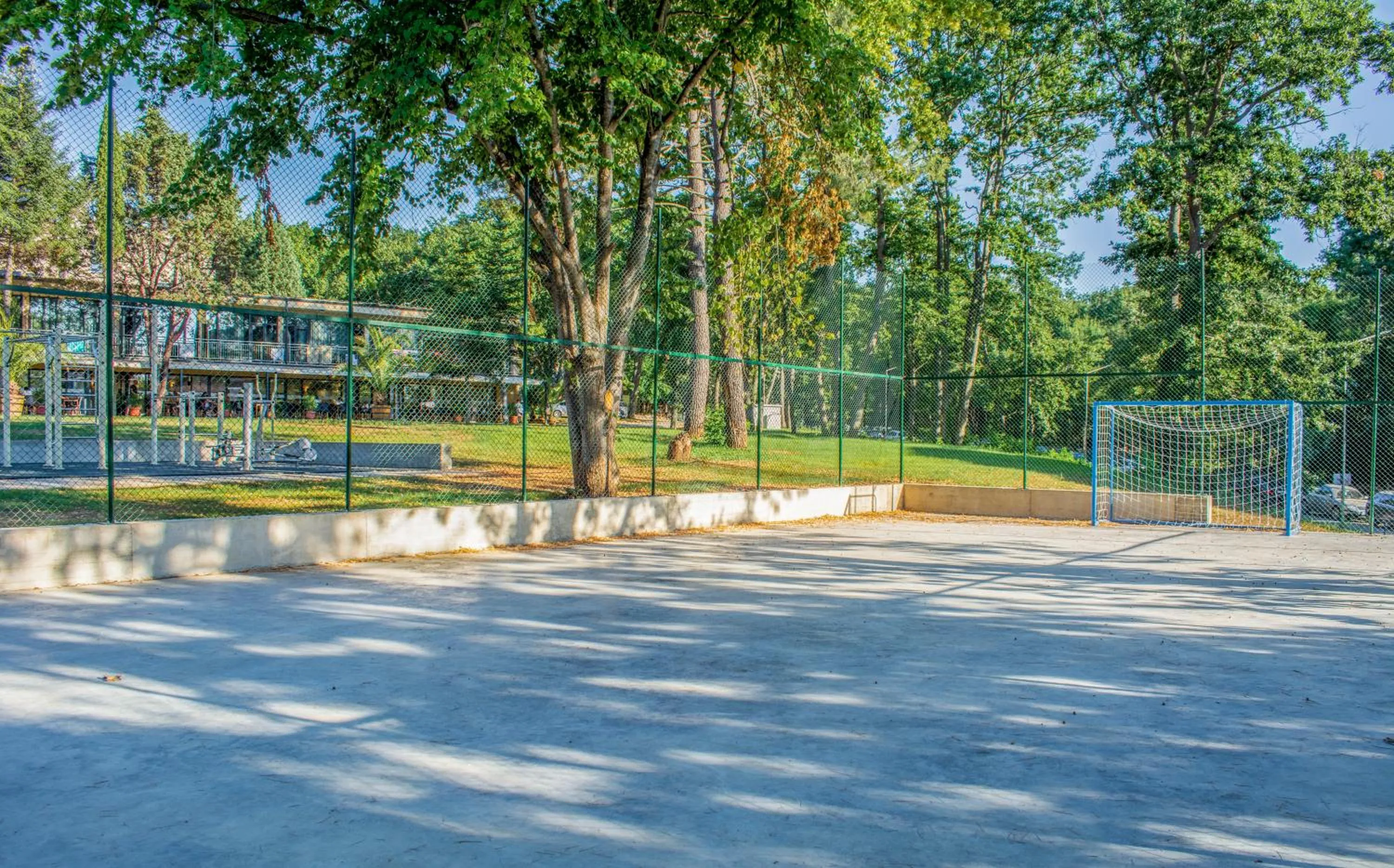 Sports in Queen Nelly Park