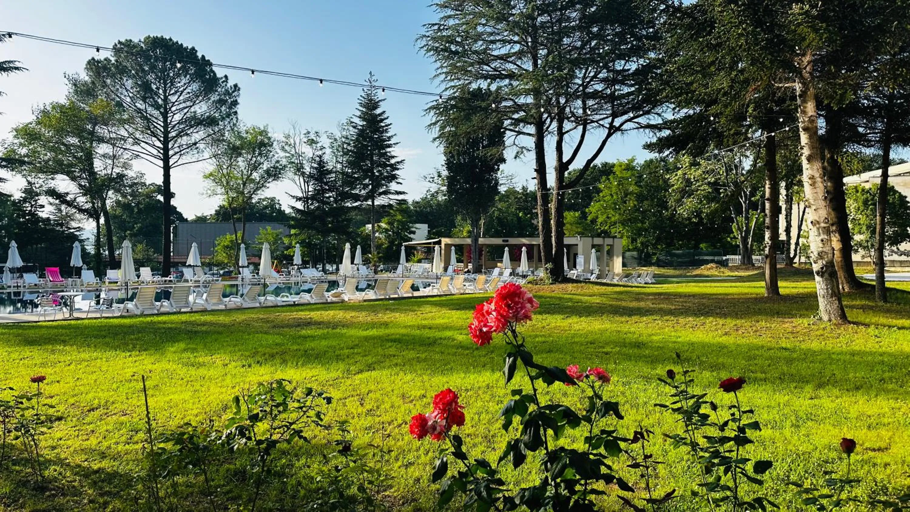 Garden view in Queen Nelly Park