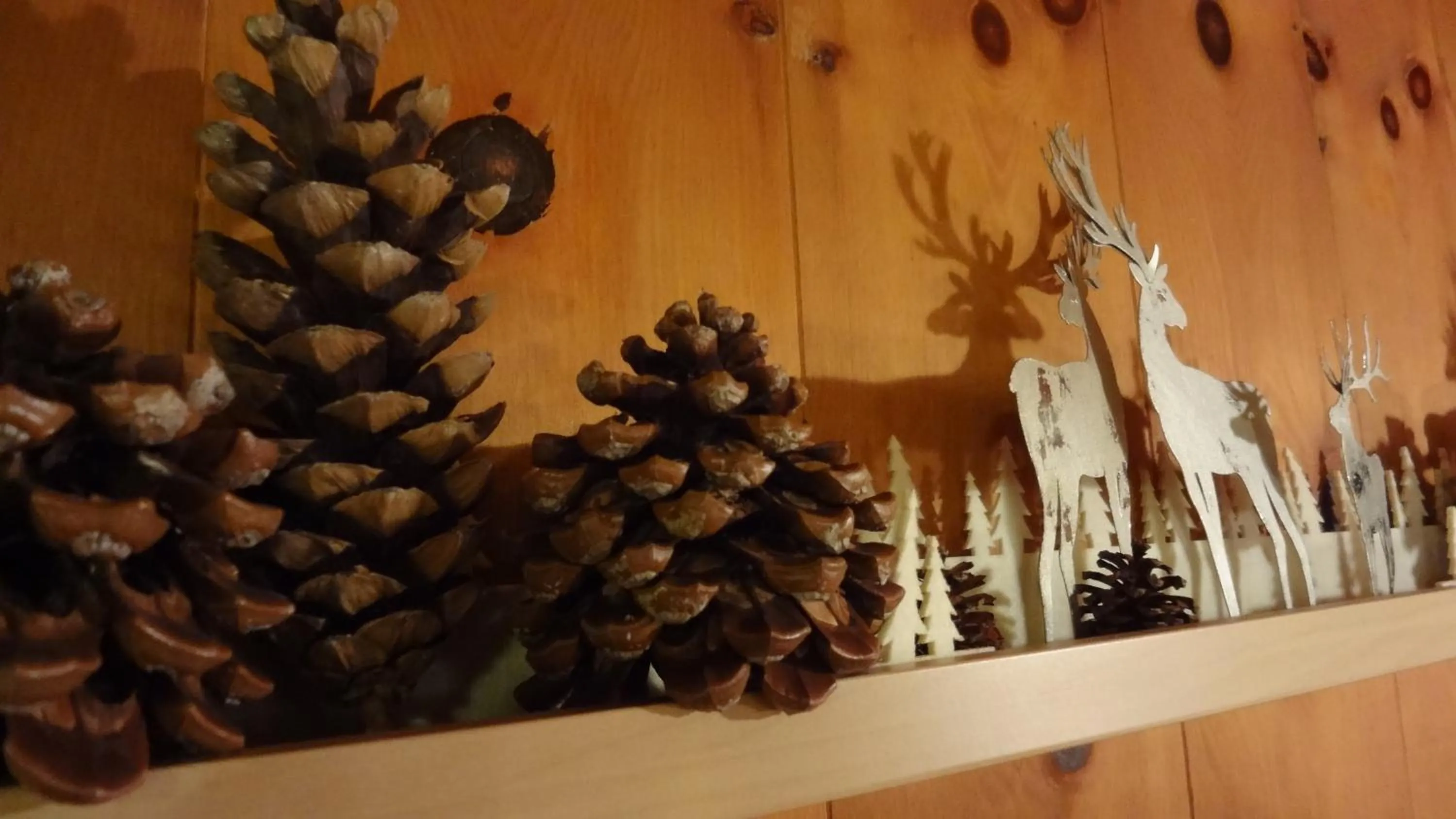 Decorative detail in Hotel Garni Hostatt