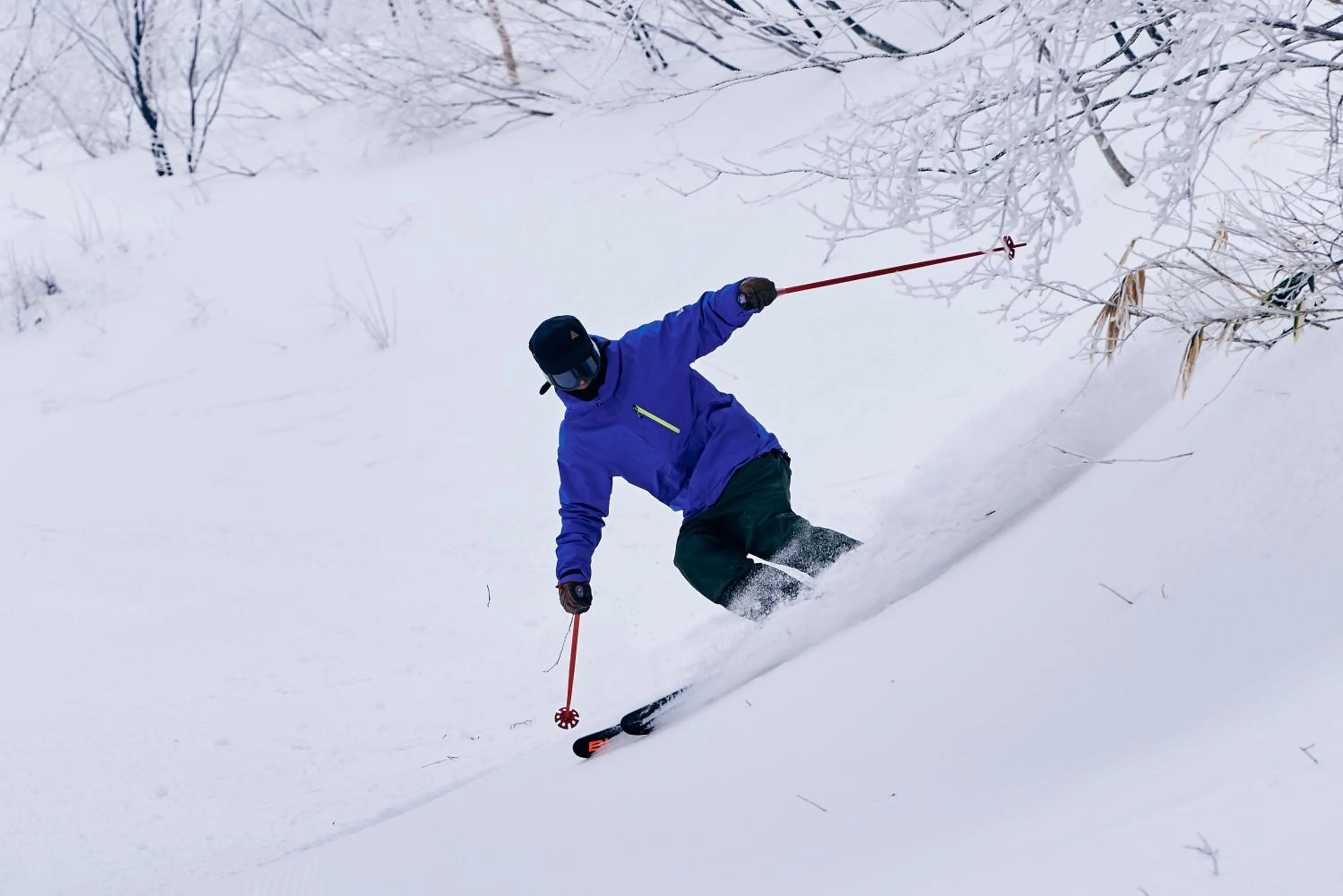 Winter in Hotel Silk Inn Madarao