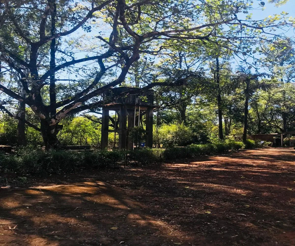 Children play ground in Citadel Resort