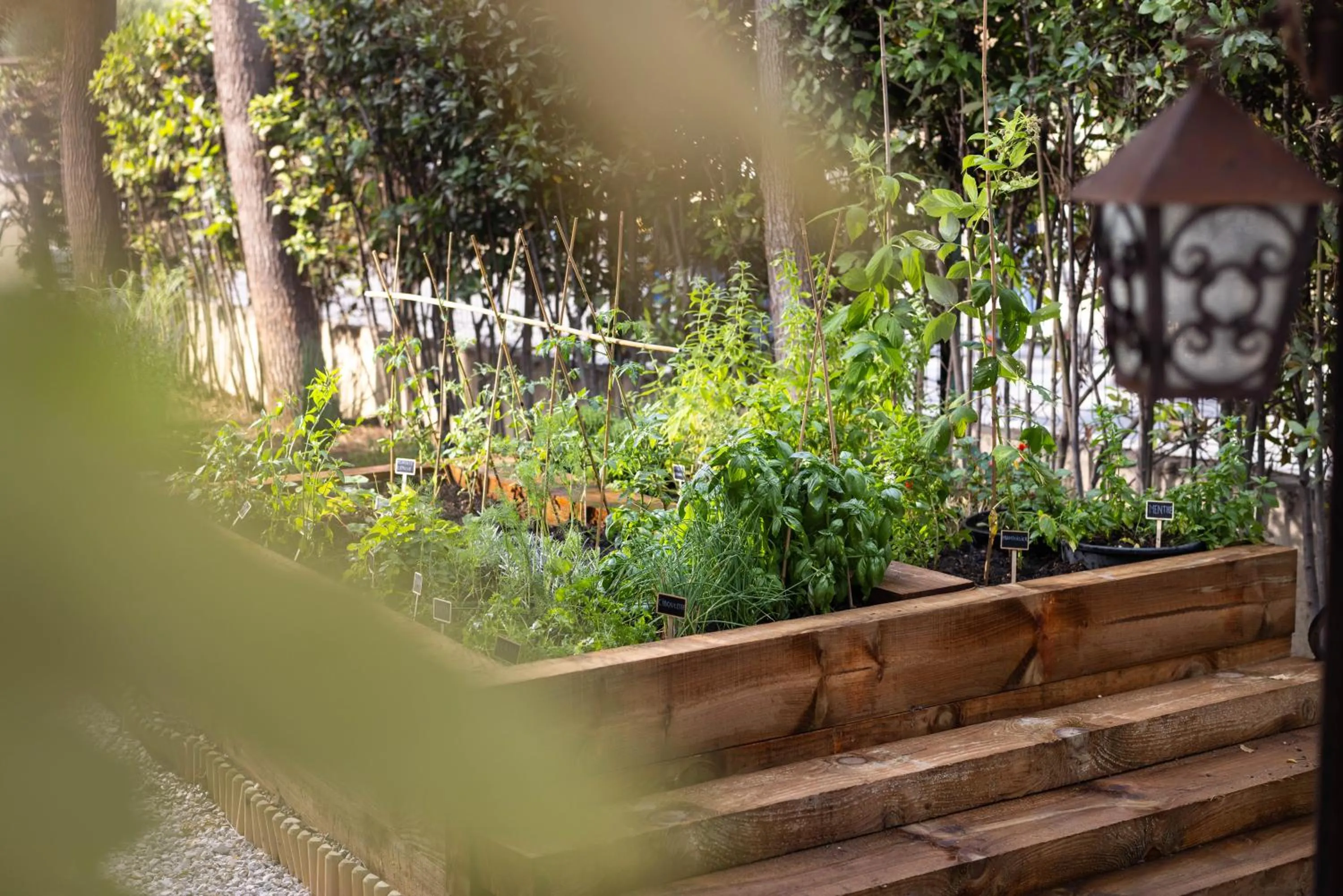 Garden in Hotel Royalmar - Nouveau propriétaire