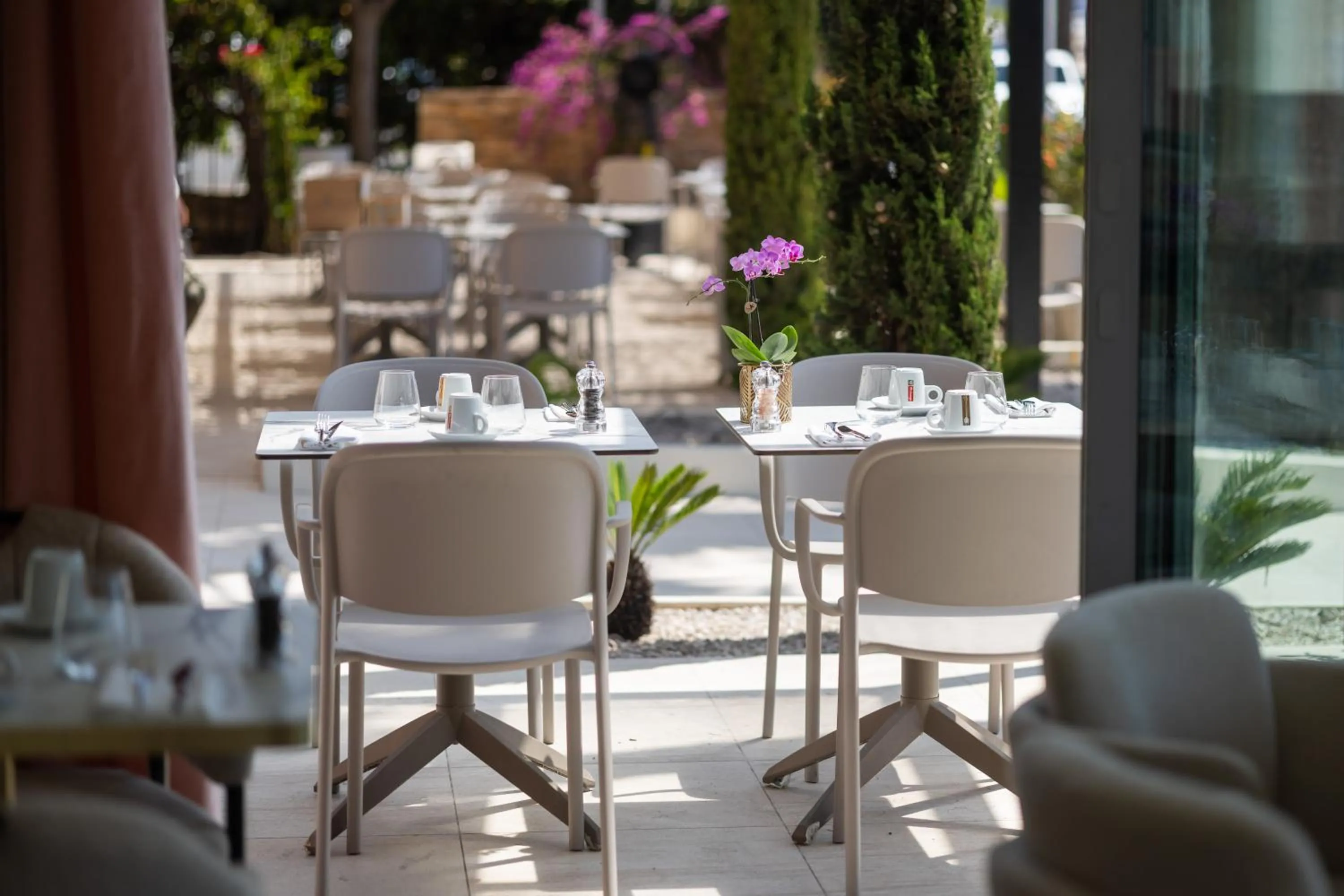 Restaurant/places to eat in Hotel Royalmar - Nouveau propriétaire