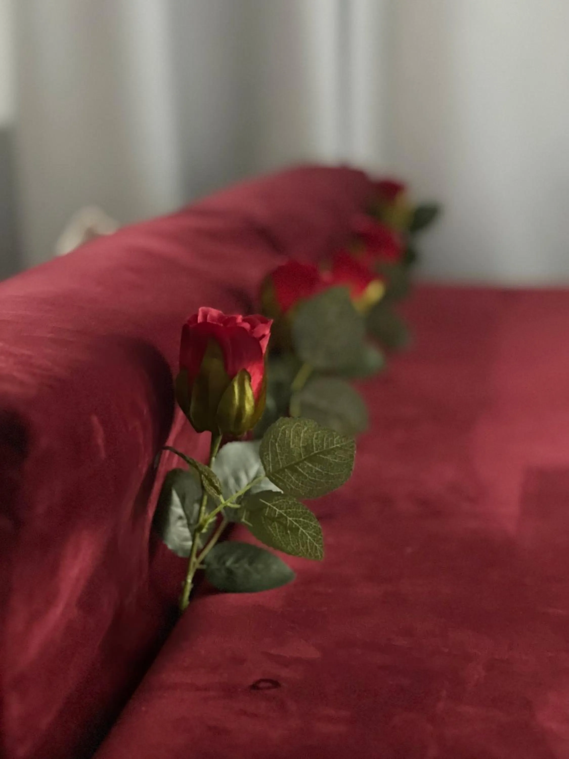 Bed in Baltic Gdańsk OLD TOWN by St Mary s Church