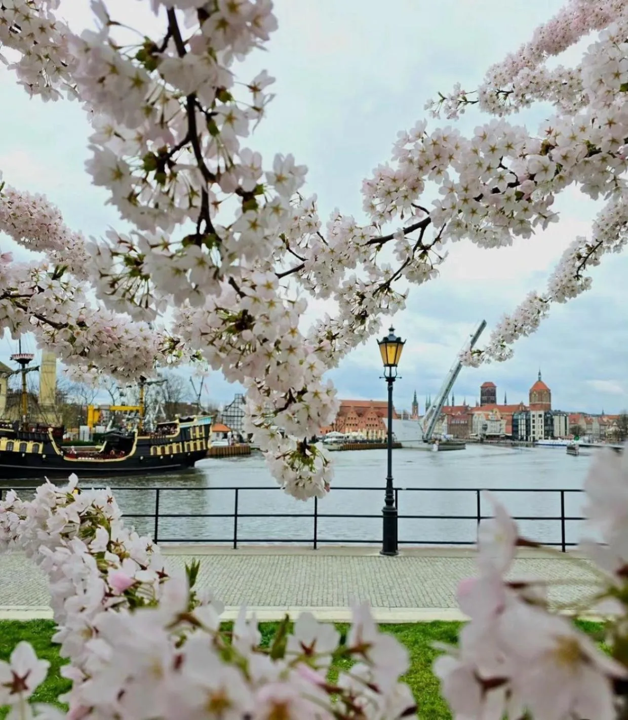 Nearby landmark in Baltic Gdańsk OLD TOWN by St Mary s Church