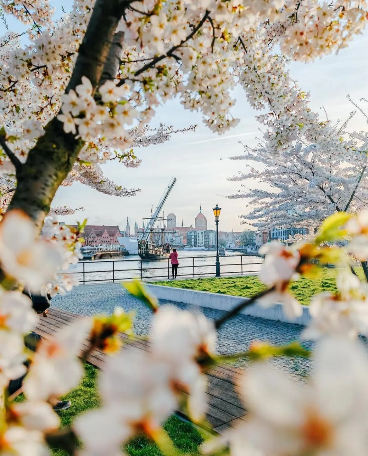 Nearby landmark in Baltic Gdańsk OLD TOWN by St Mary s Church