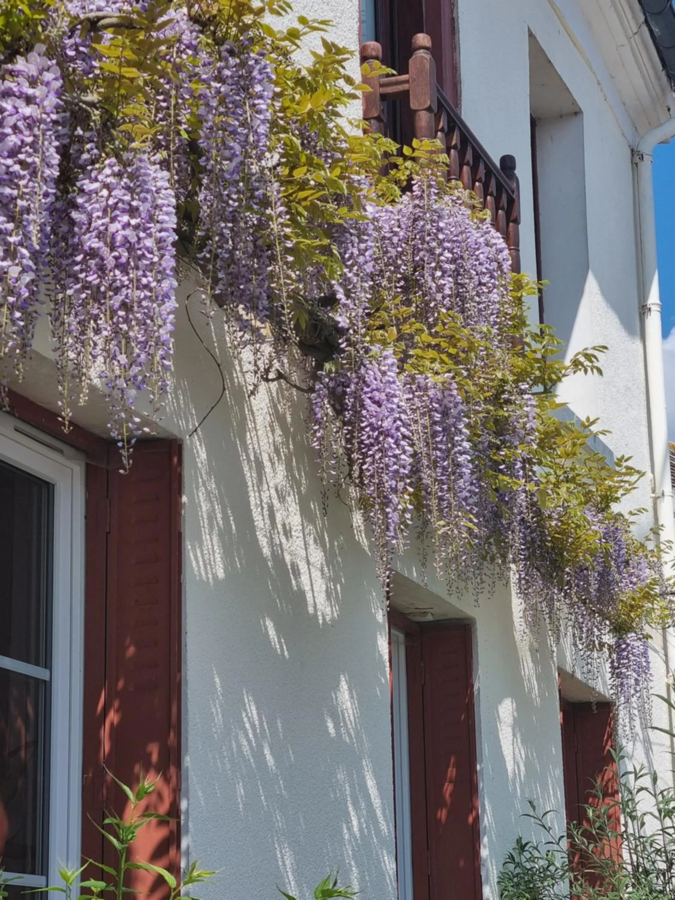 Property building in Les Glycines de Monchy- Chambres d'hôtes