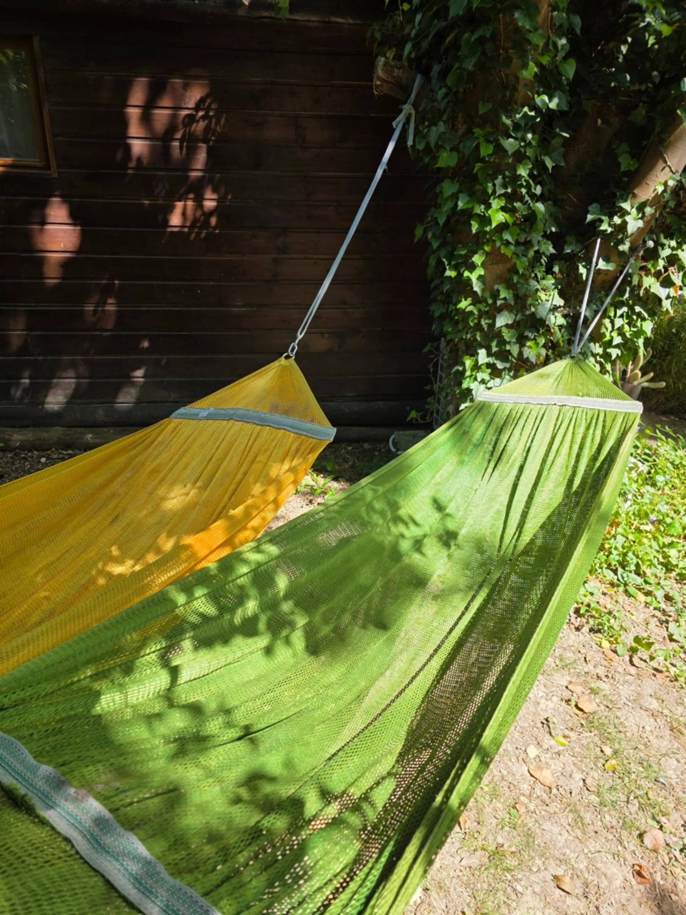 Spring in Les Glycines de Monchy- Chambres d'hôtes