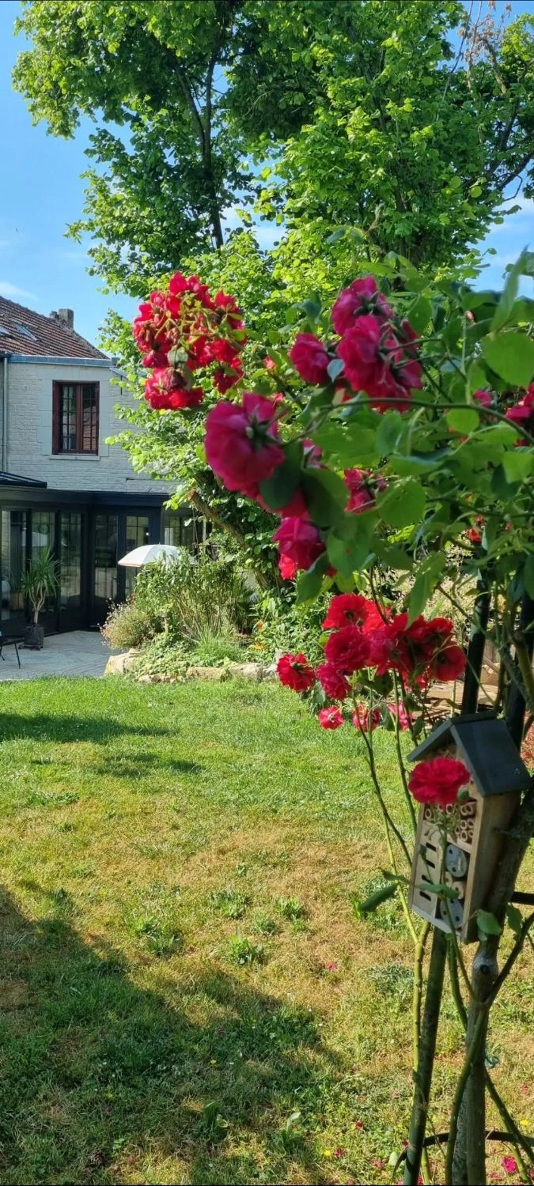 Spring in Les Glycines de Monchy- Chambres d'hôtes