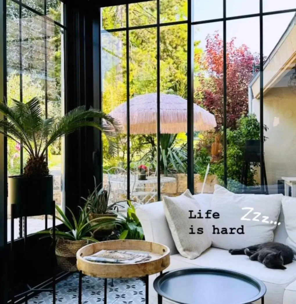 Pets in Les Glycines de Monchy- Chambres d'hôtes