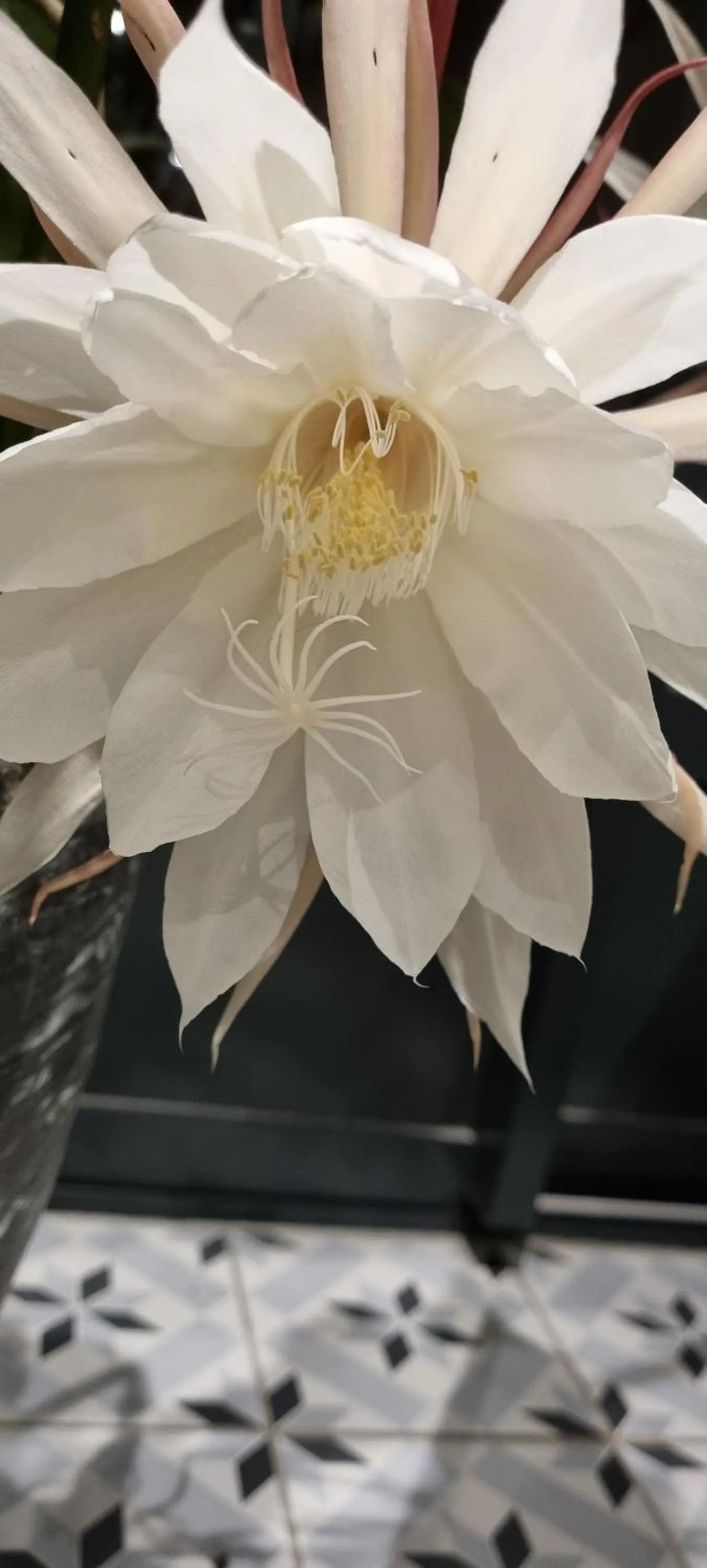 Breakfast in Les Glycines de Monchy- Chambres d'hôtes