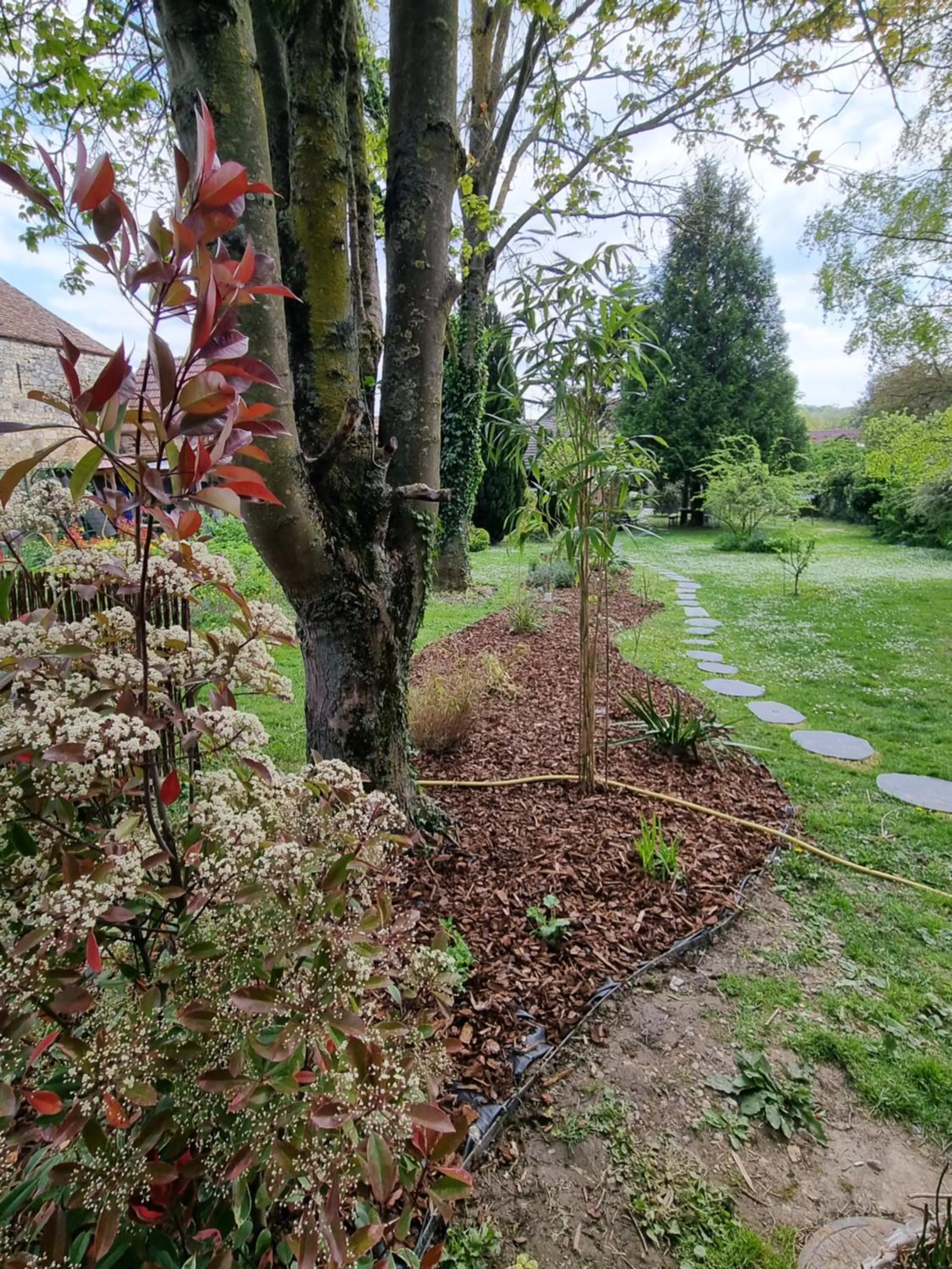 Natural landscape in Les Glycines de Monchy- Chambres d'hôtes
