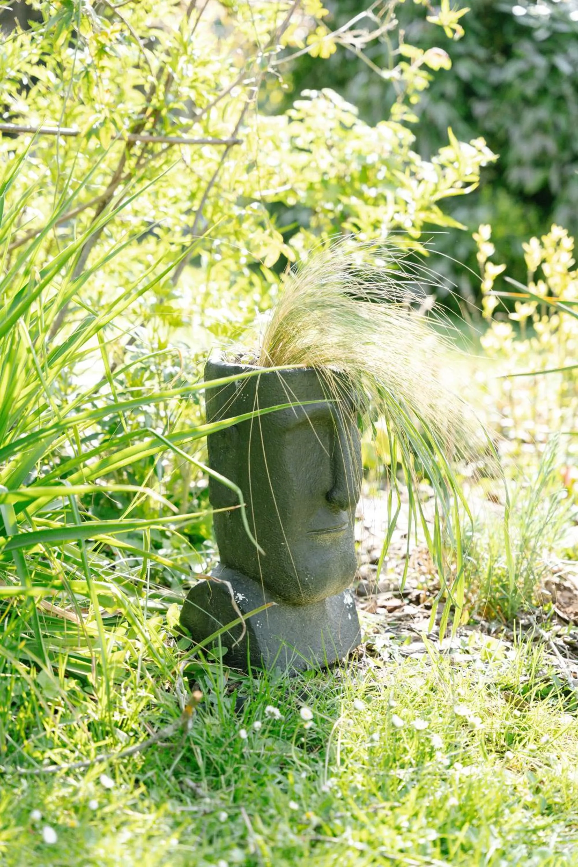 Spring in Les Glycines de Monchy- Chambres d'hôtes