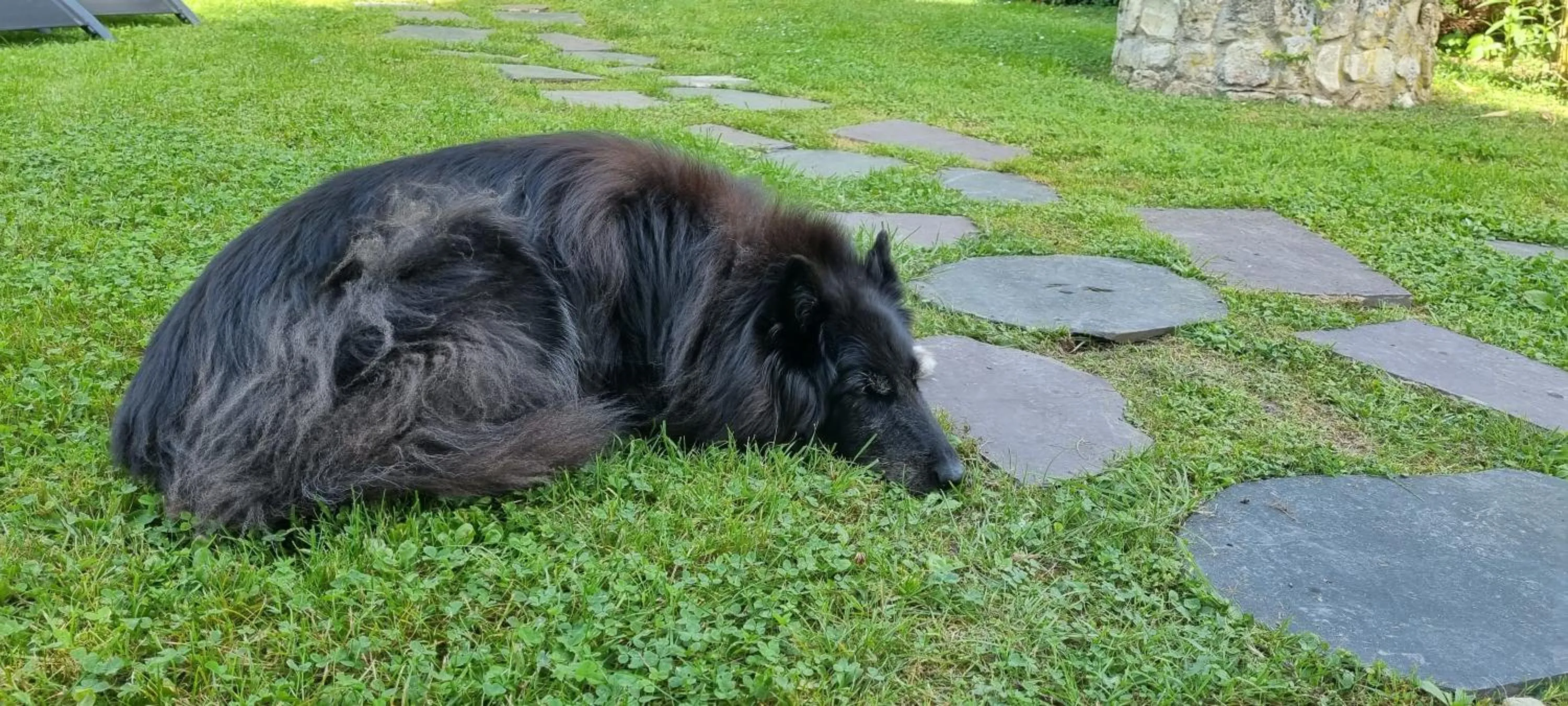 Garden in Les Glycines de Monchy- Chambres d'hôtes