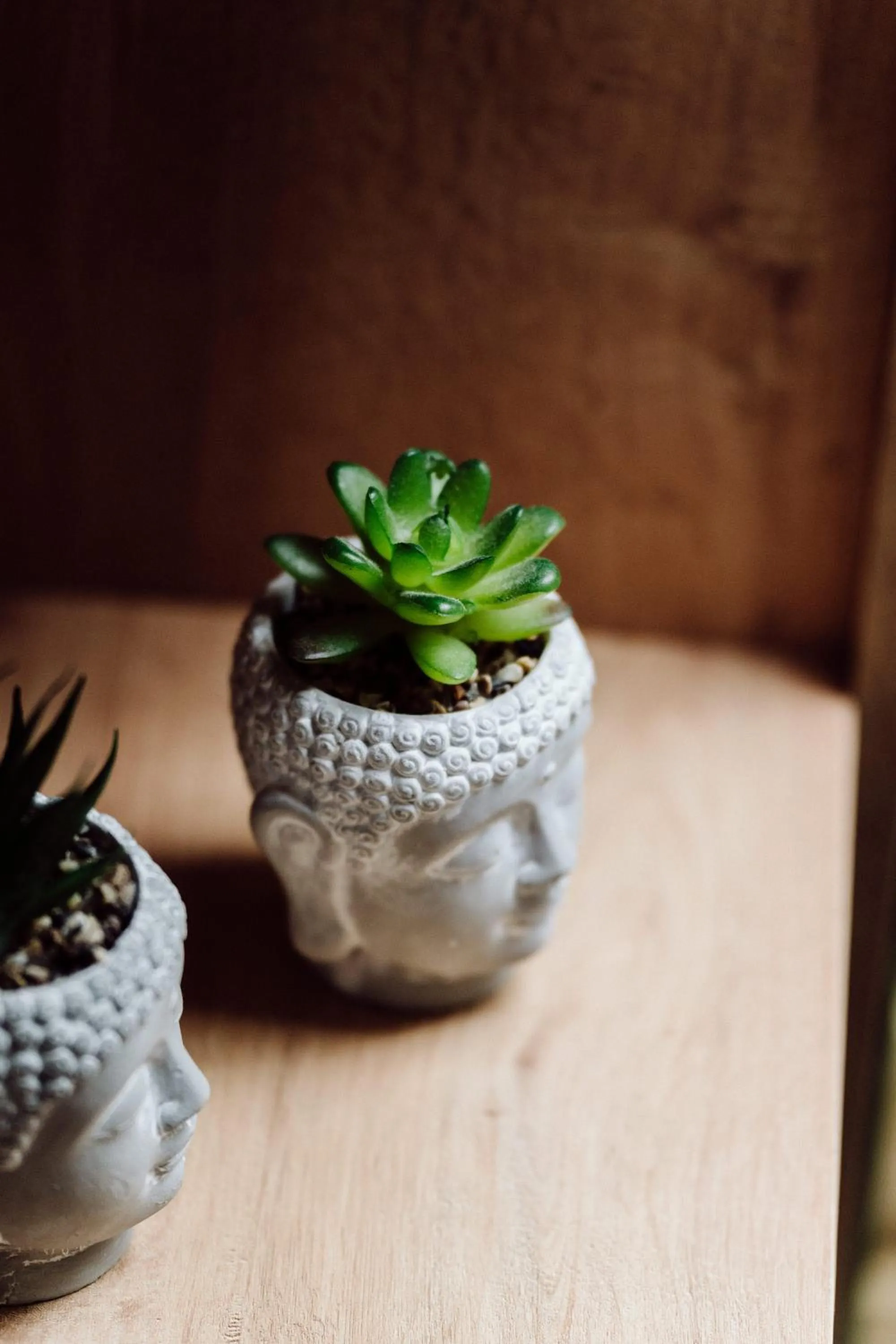 Decorative detail in Les Glycines de Monchy- Chambres d'hôtes