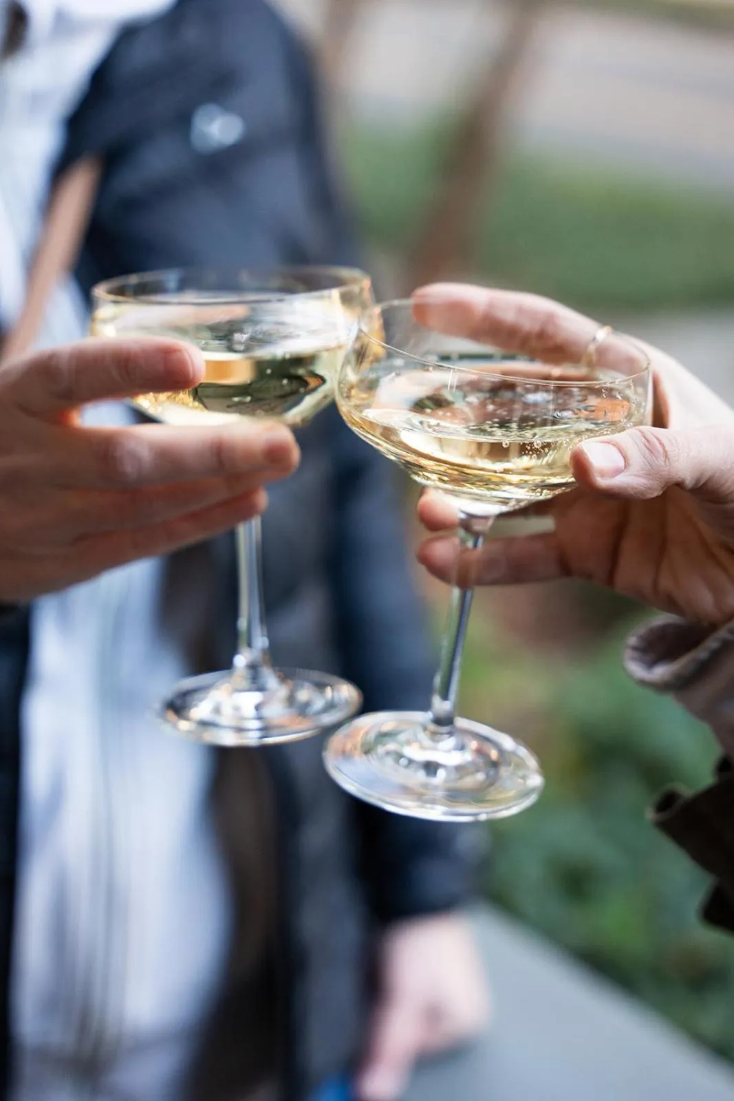 Food and drinks in Bellwether House