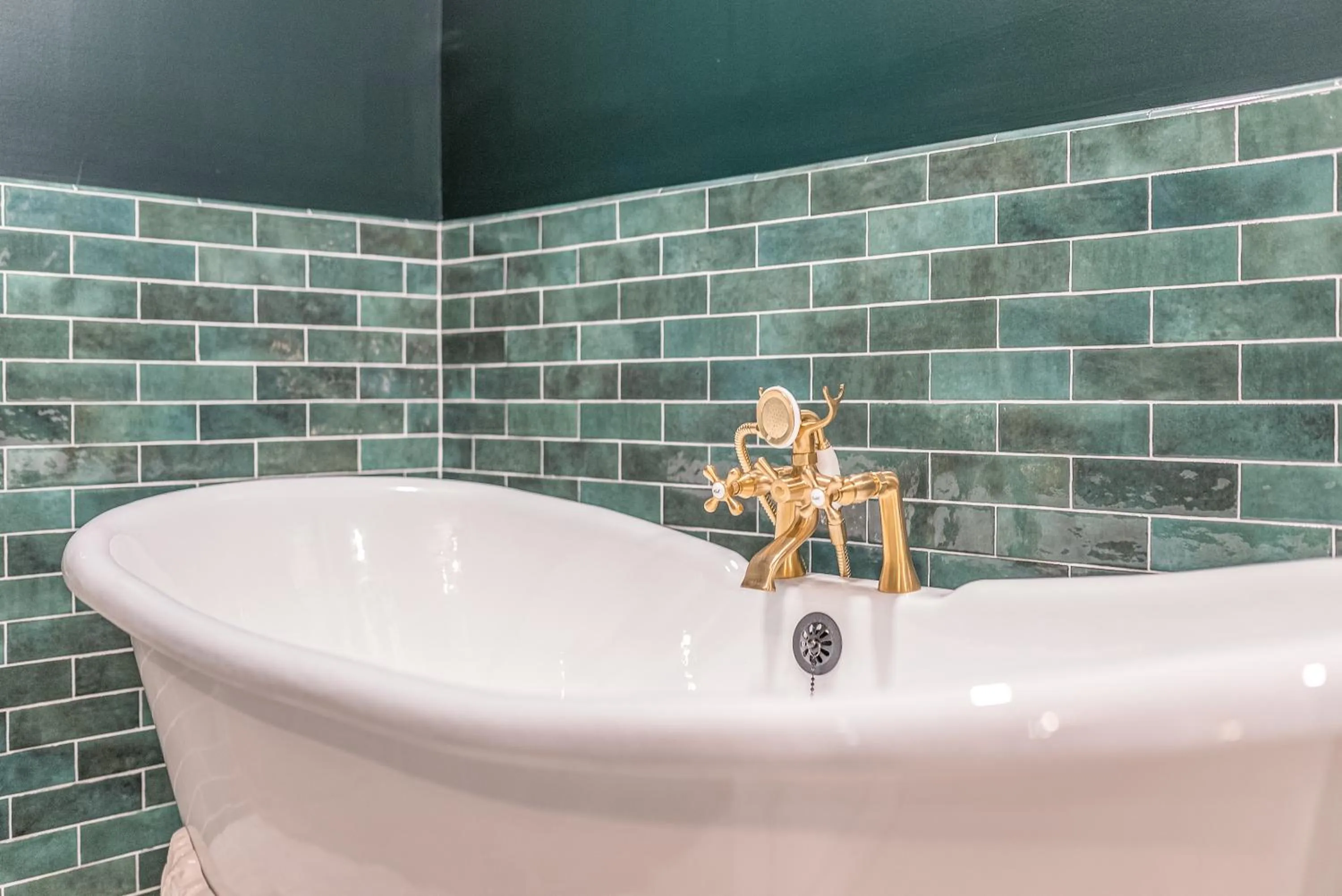 Garden in Bellwether House