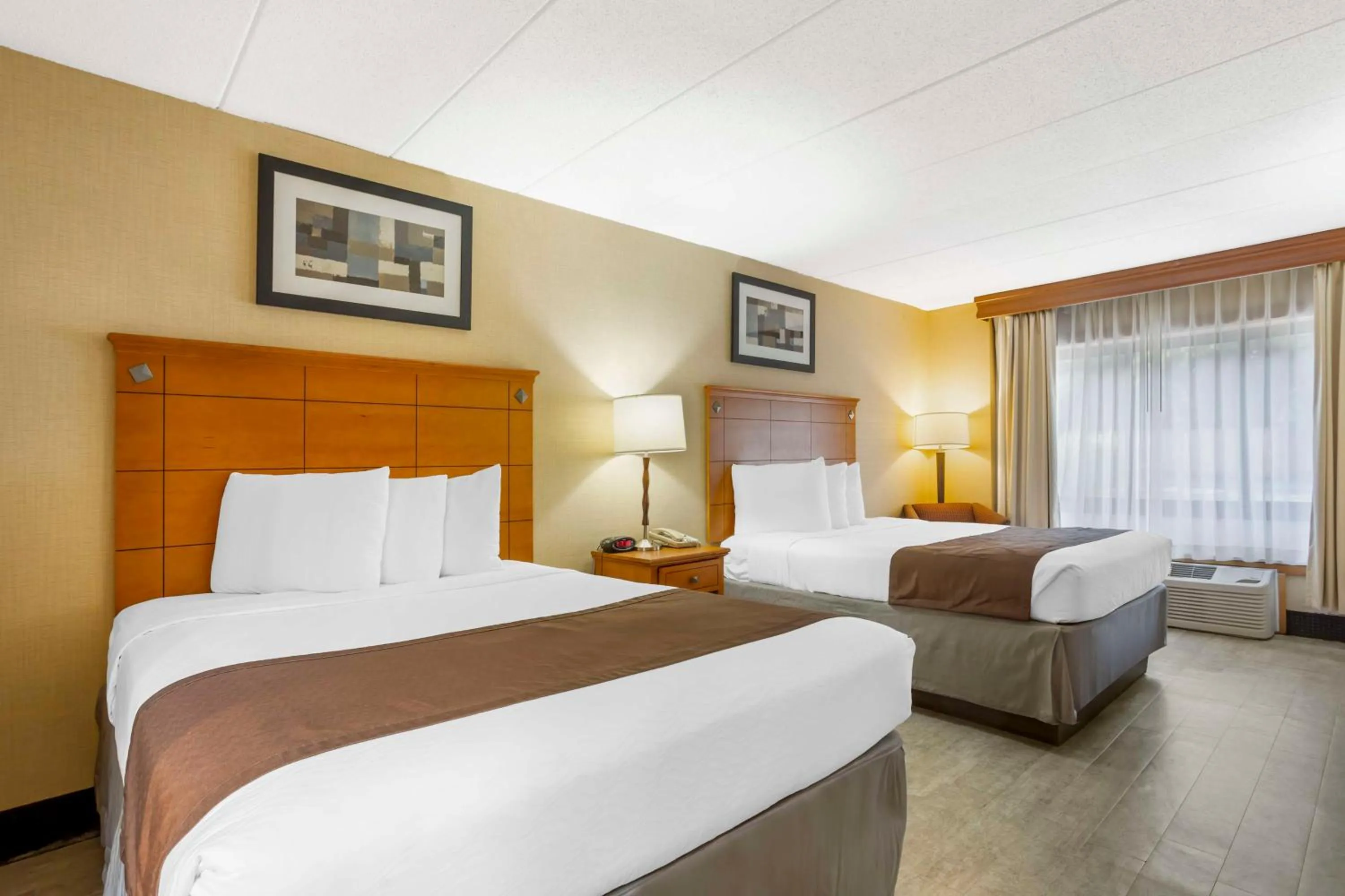 Bedroom in Best Western Danbury/Bethel