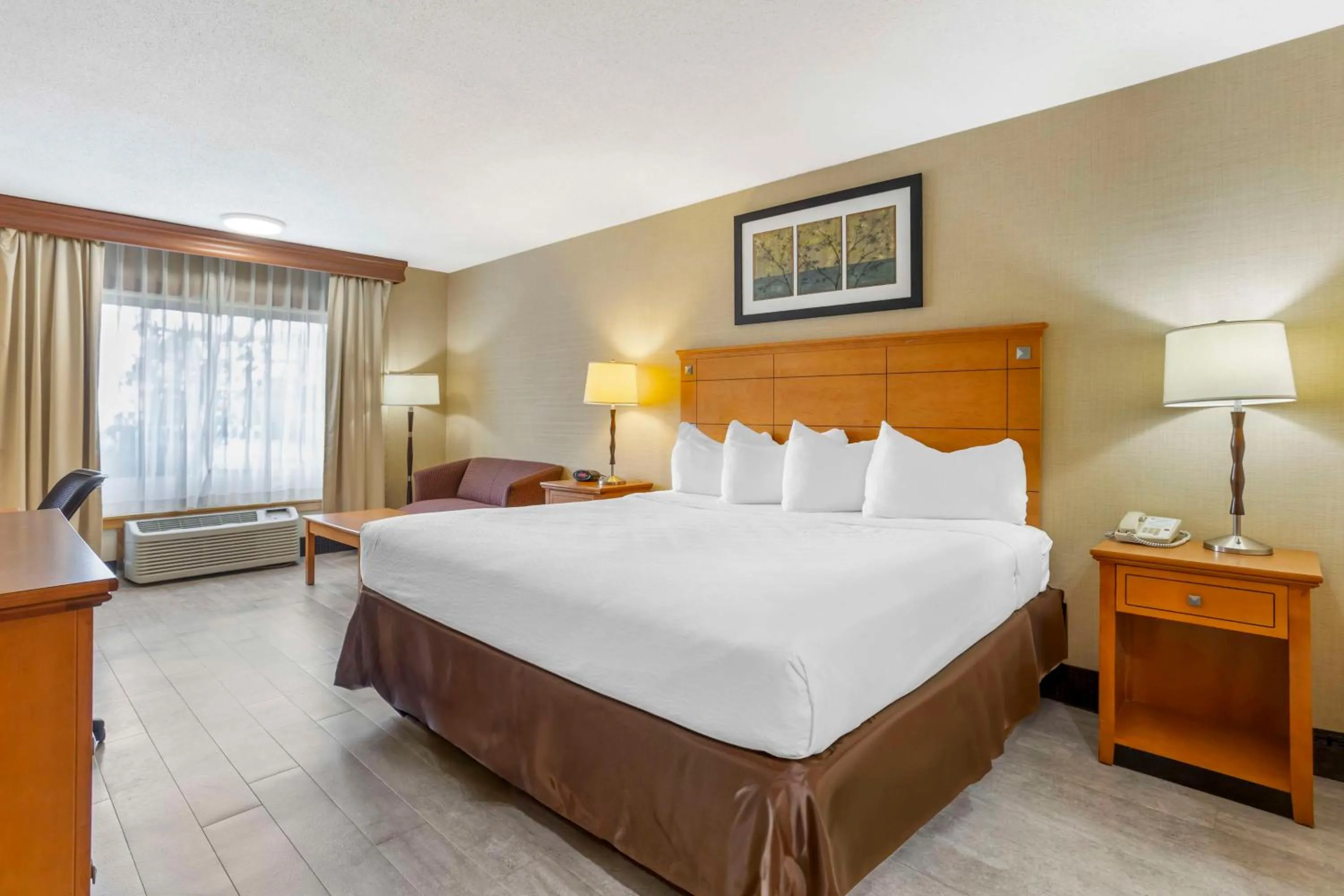 Bedroom in Best Western Danbury/Bethel