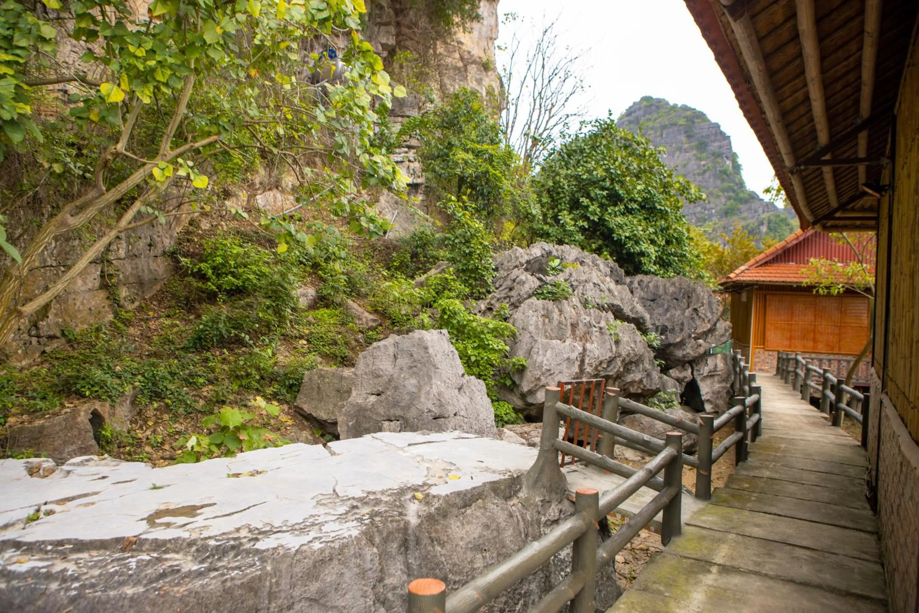 Patio in Lotus Field Homestay