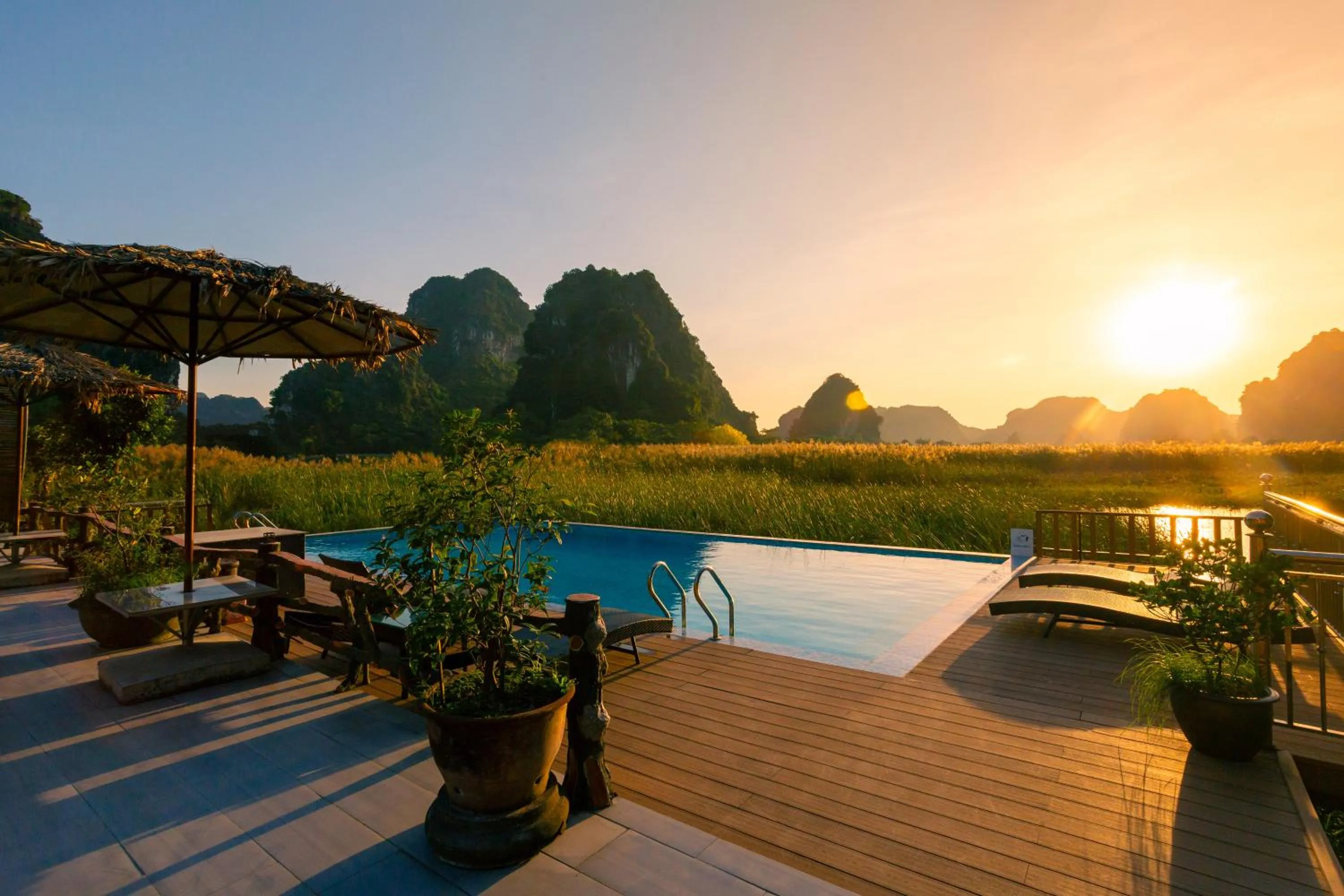 Lotus Field Homestay