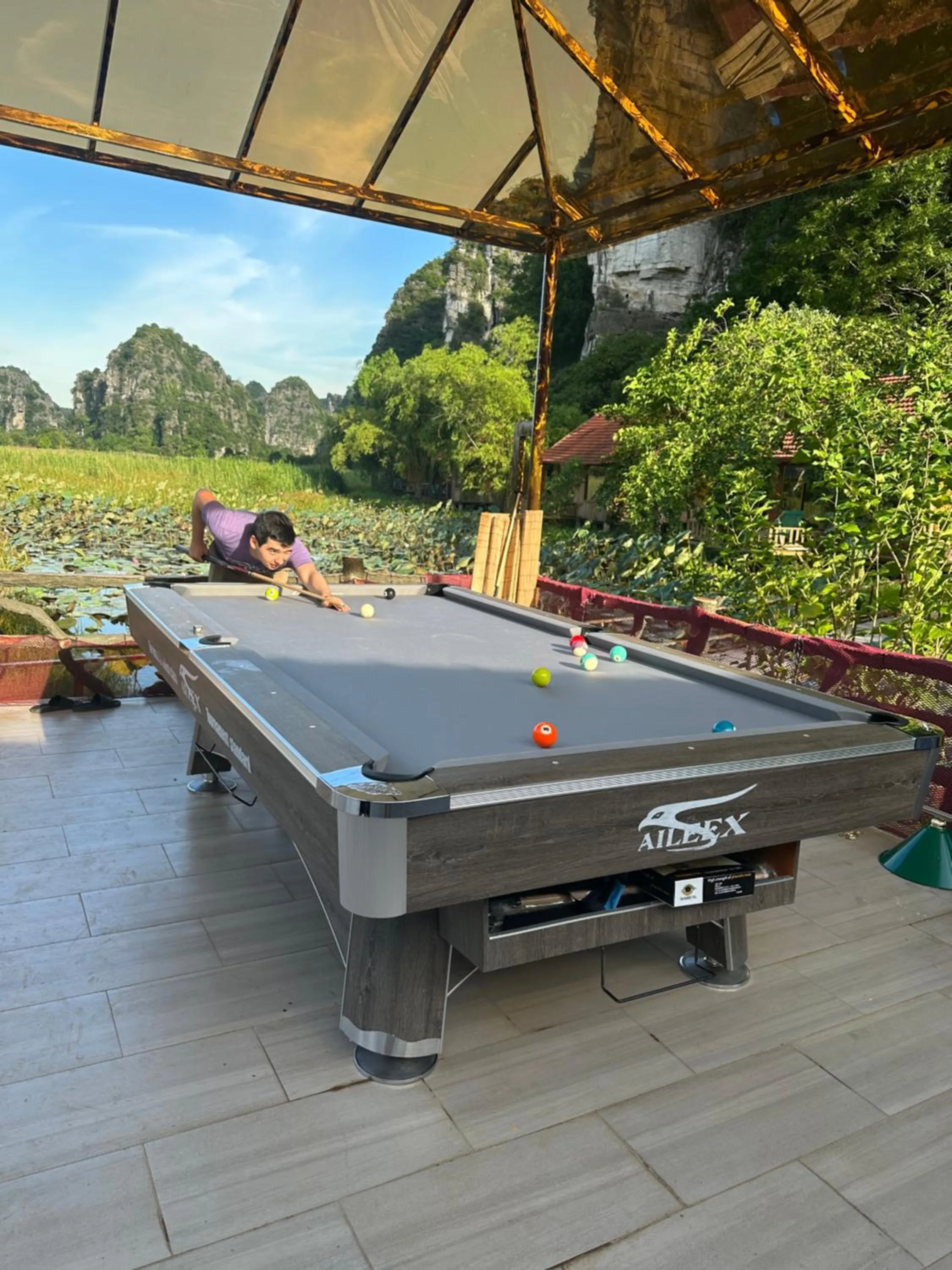 Day in Lotus Field Homestay