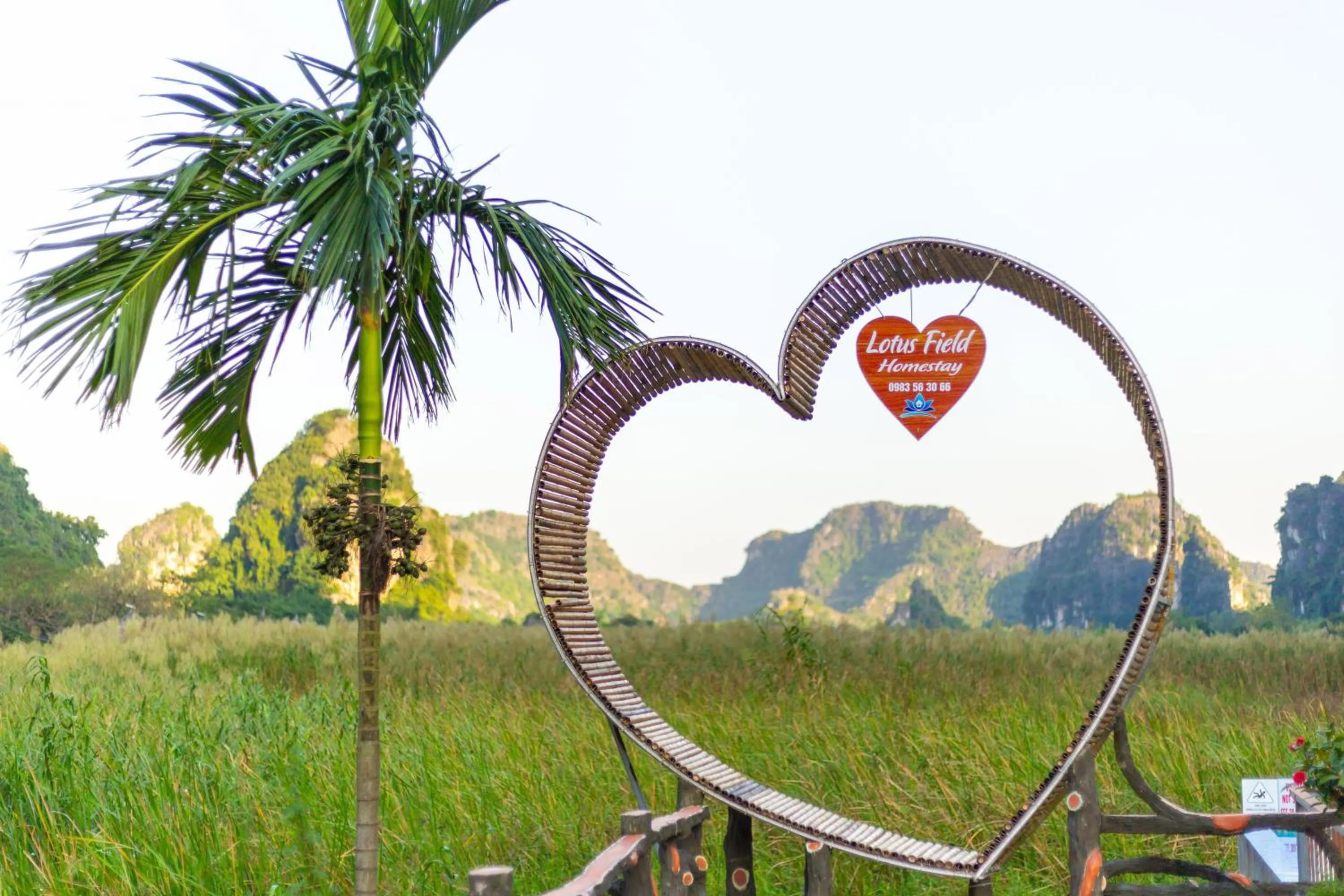 Day in Lotus Field Homestay