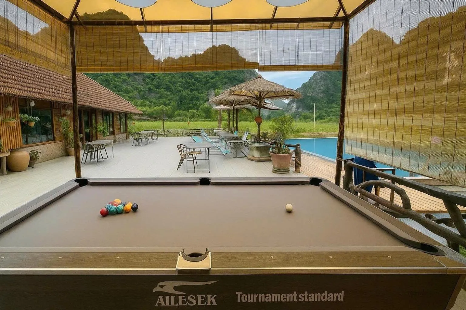 Day in Lotus Field Homestay