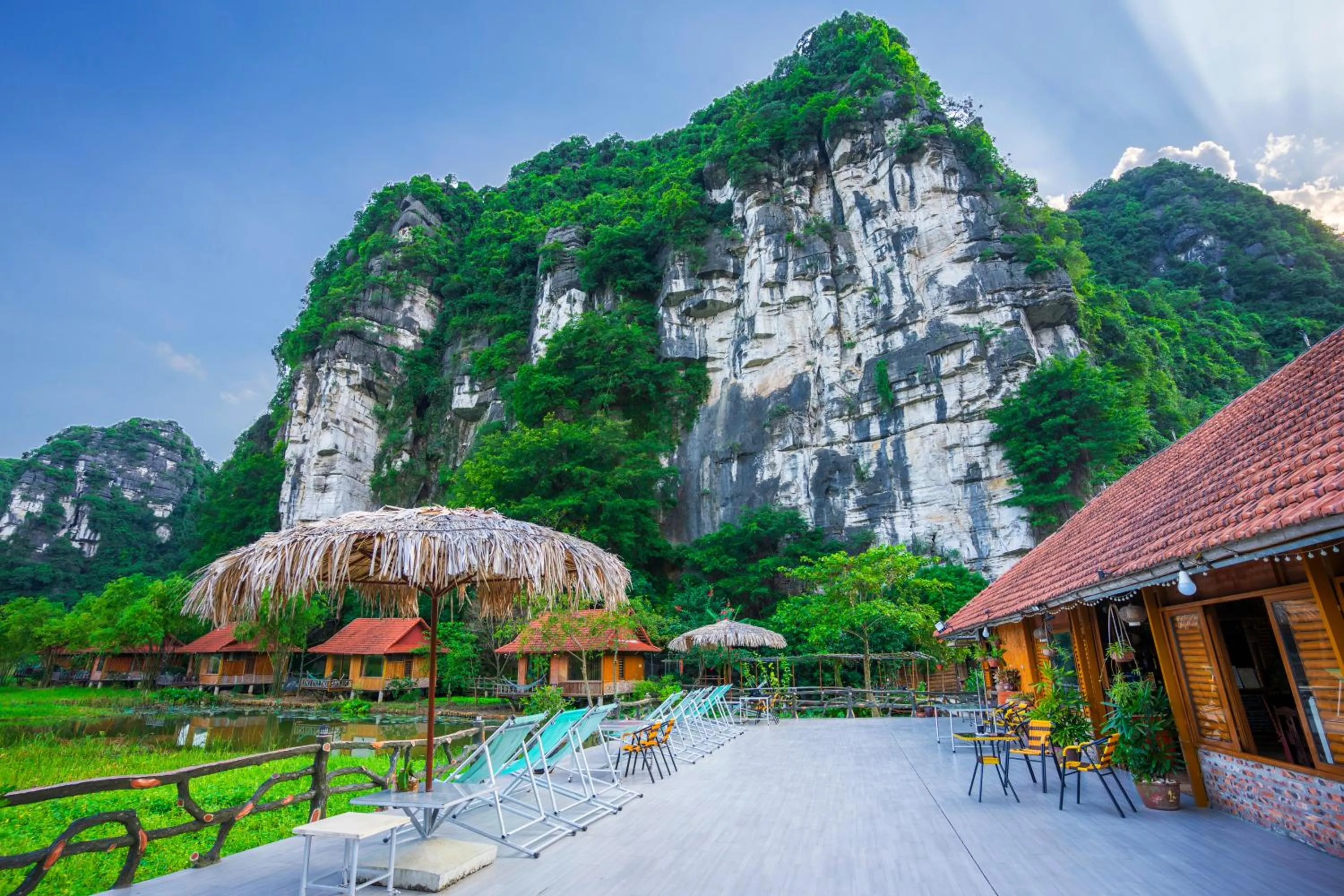 Day in Lotus Field Homestay