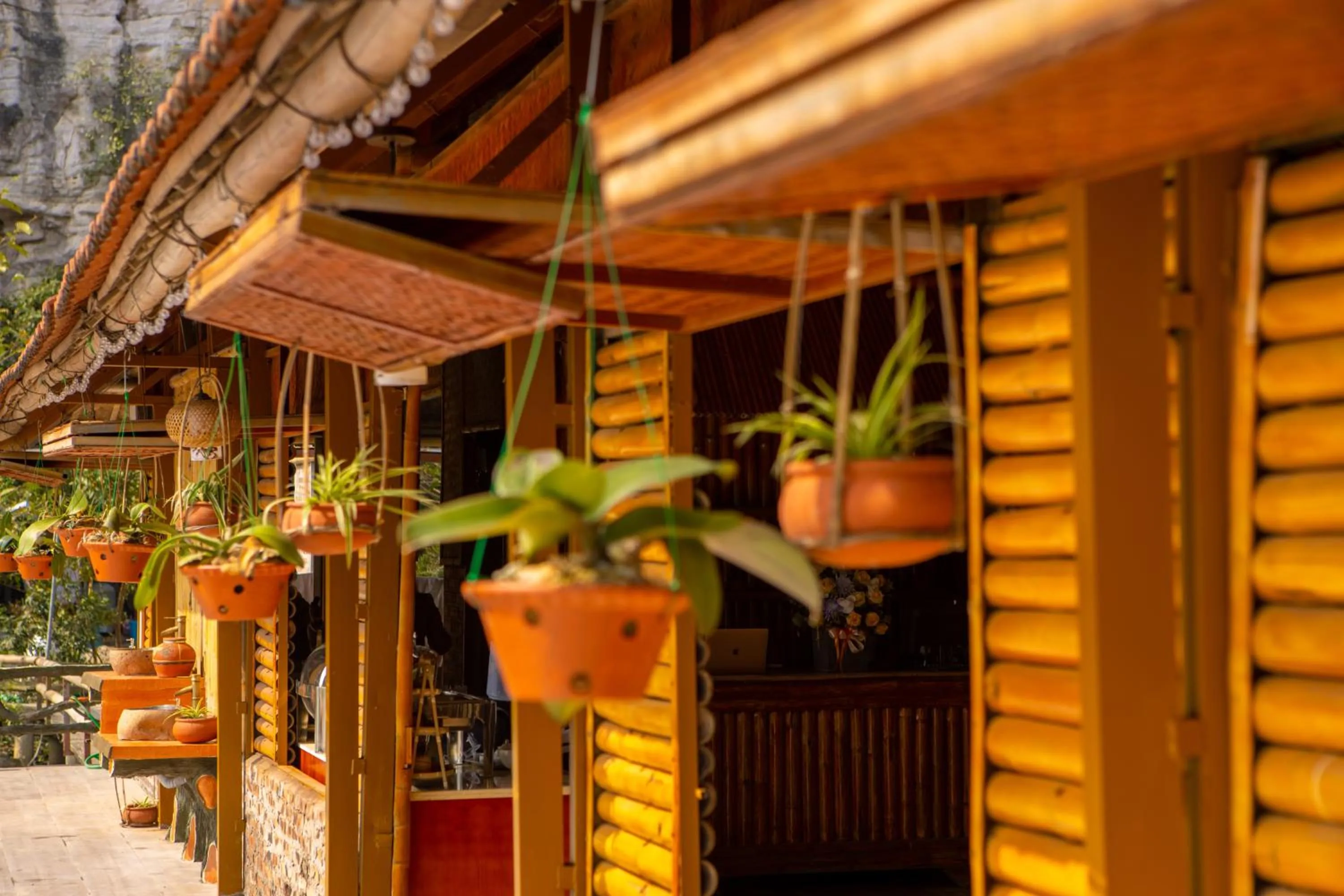 Restaurant/places to eat in Lotus Field Homestay