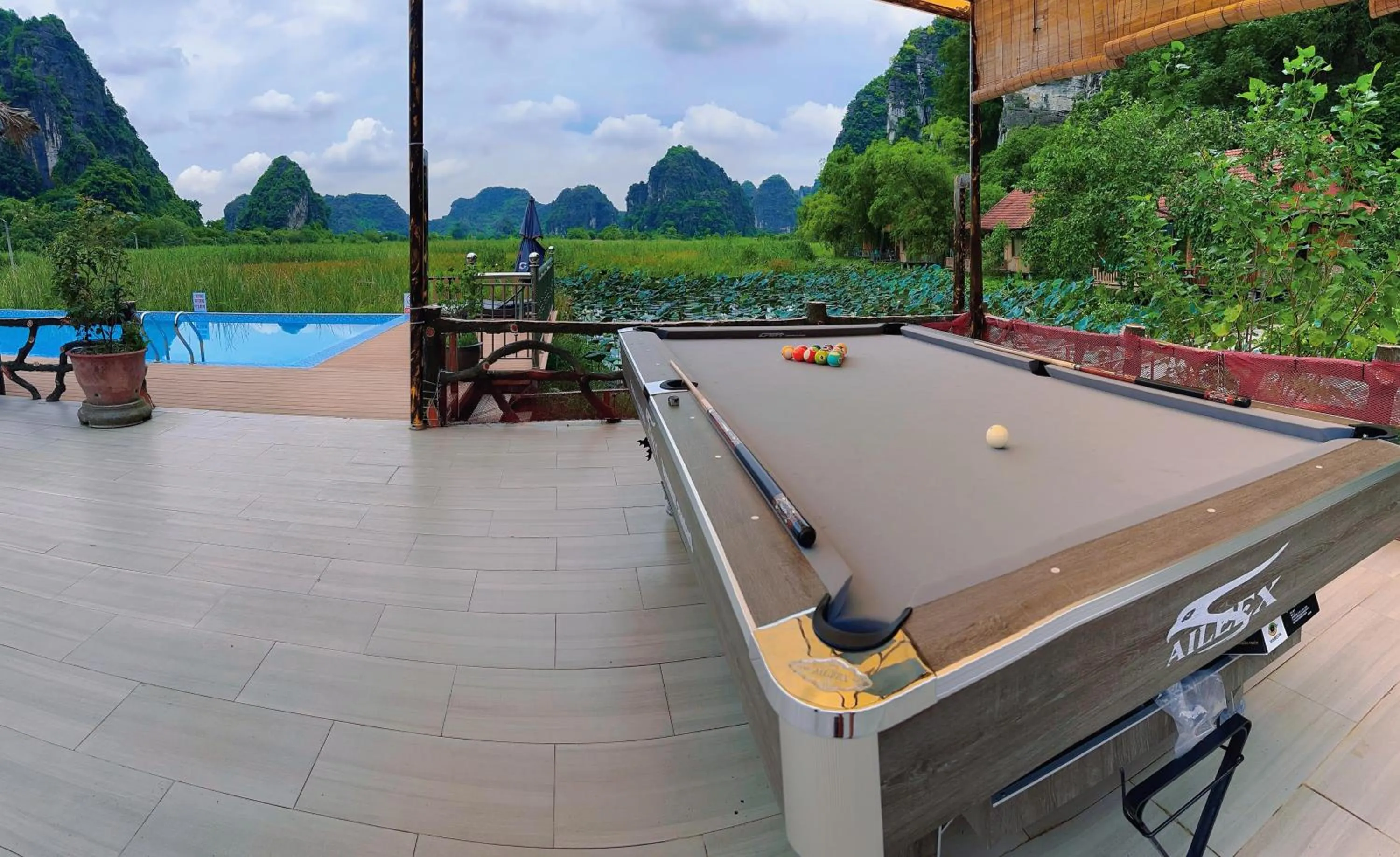 Day in Lotus Field Homestay