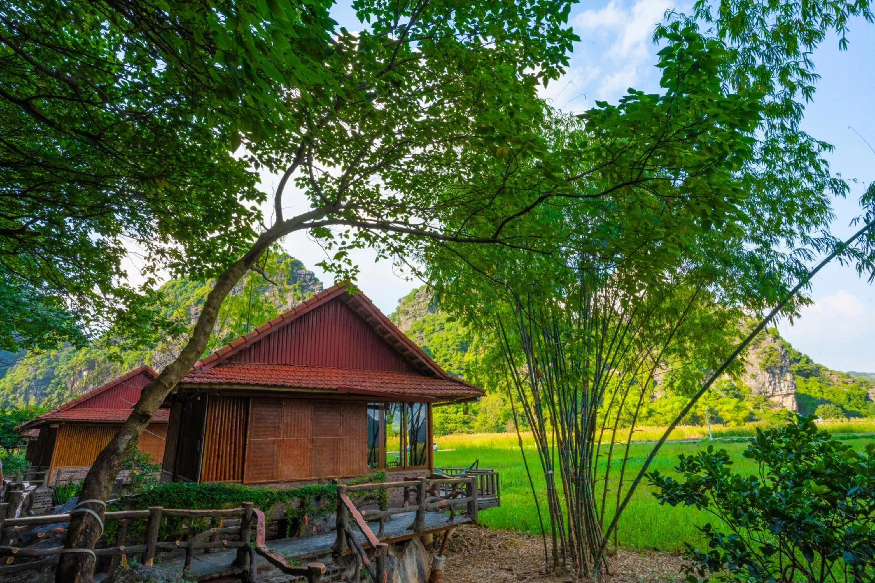 Natural landscape in Lotus Field Homestay