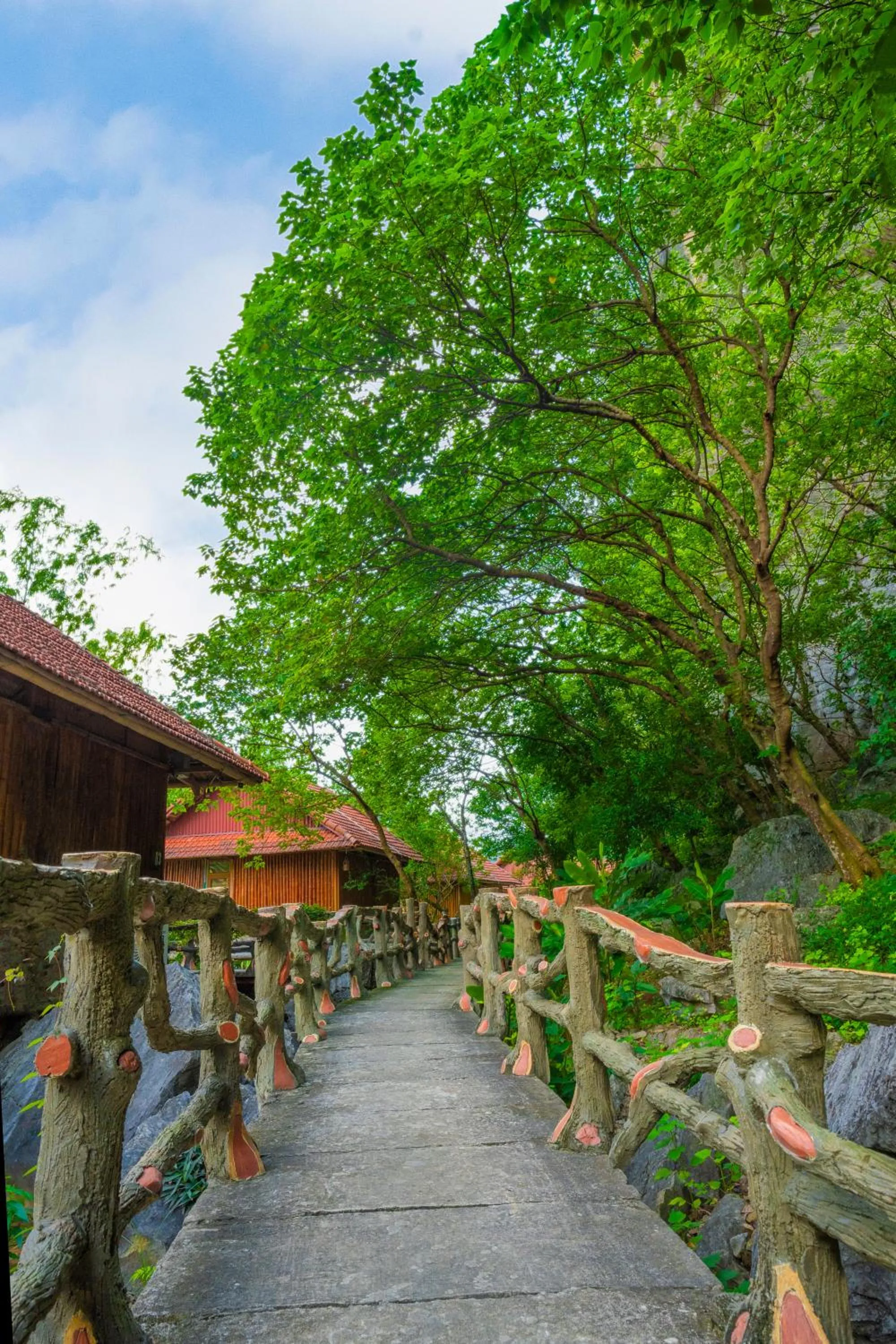 Natural landscape in Lotus Field Homestay