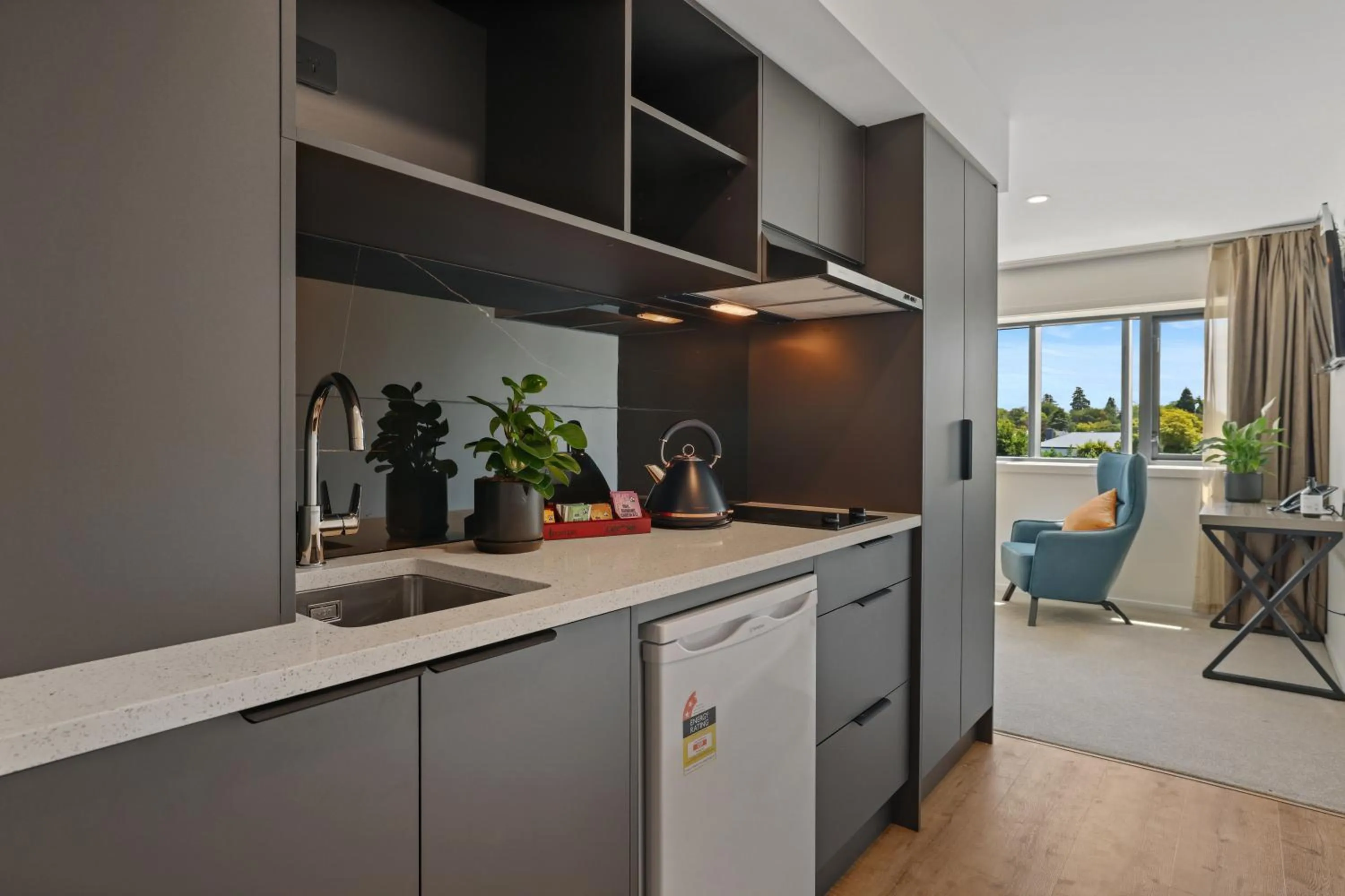 Kitchen or kitchenette in Golden Hotel