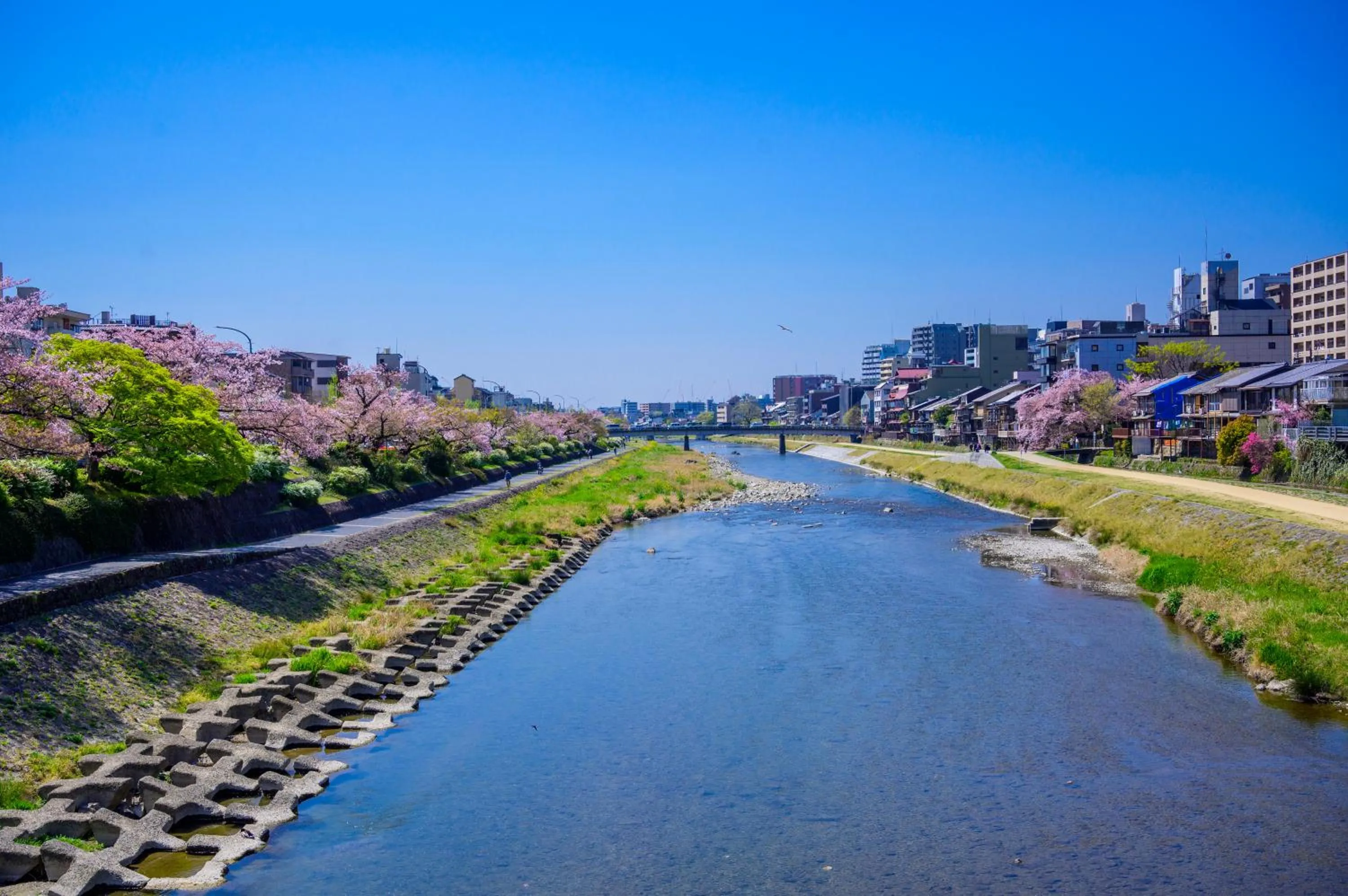 Nearby landmark in Sora Niwa Terrace Kyoto