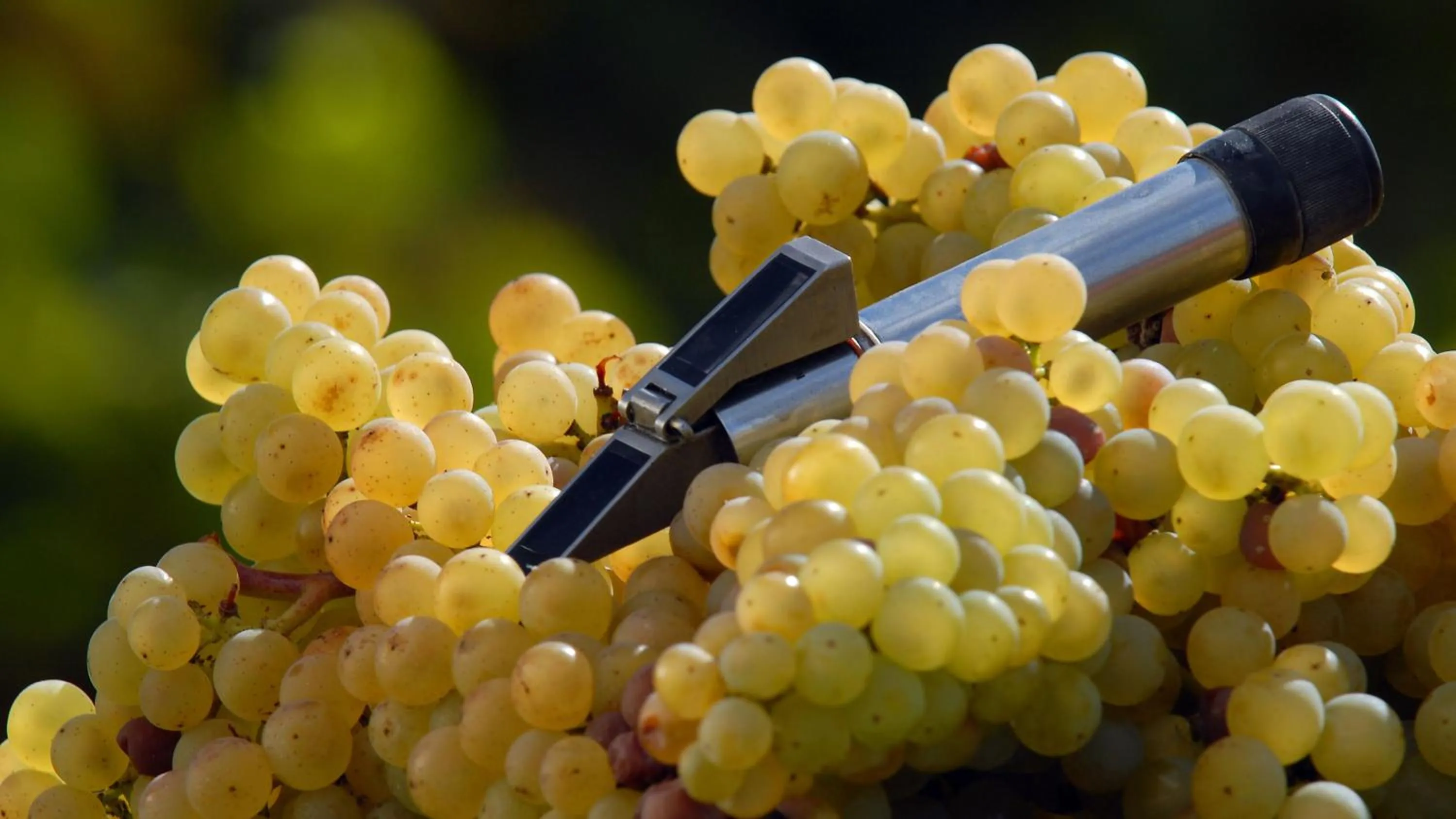 Activities in Chalet Raabe