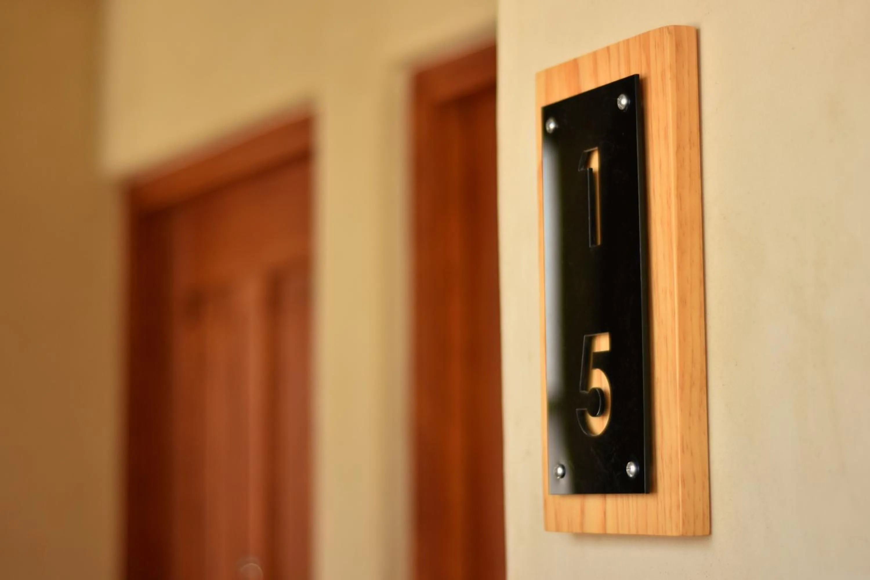 Area and facilities in Hotel Junvay