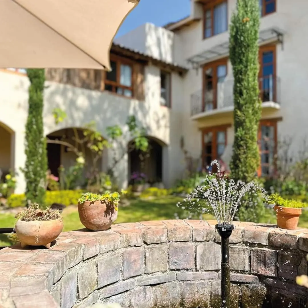 Garden in Hotel Junvay