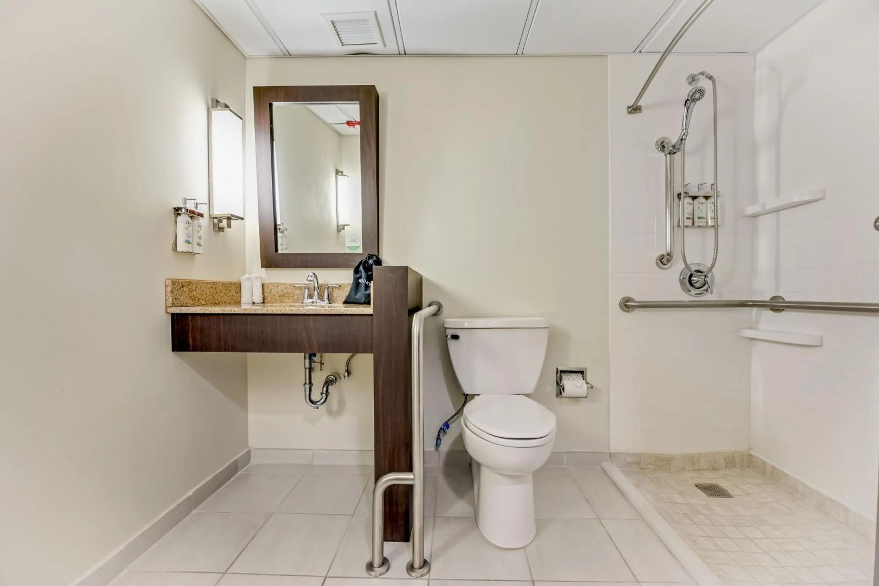 Standard Queen Room - Disability Access in Holiday Inn Ponce & El Tropical Casino by IHG