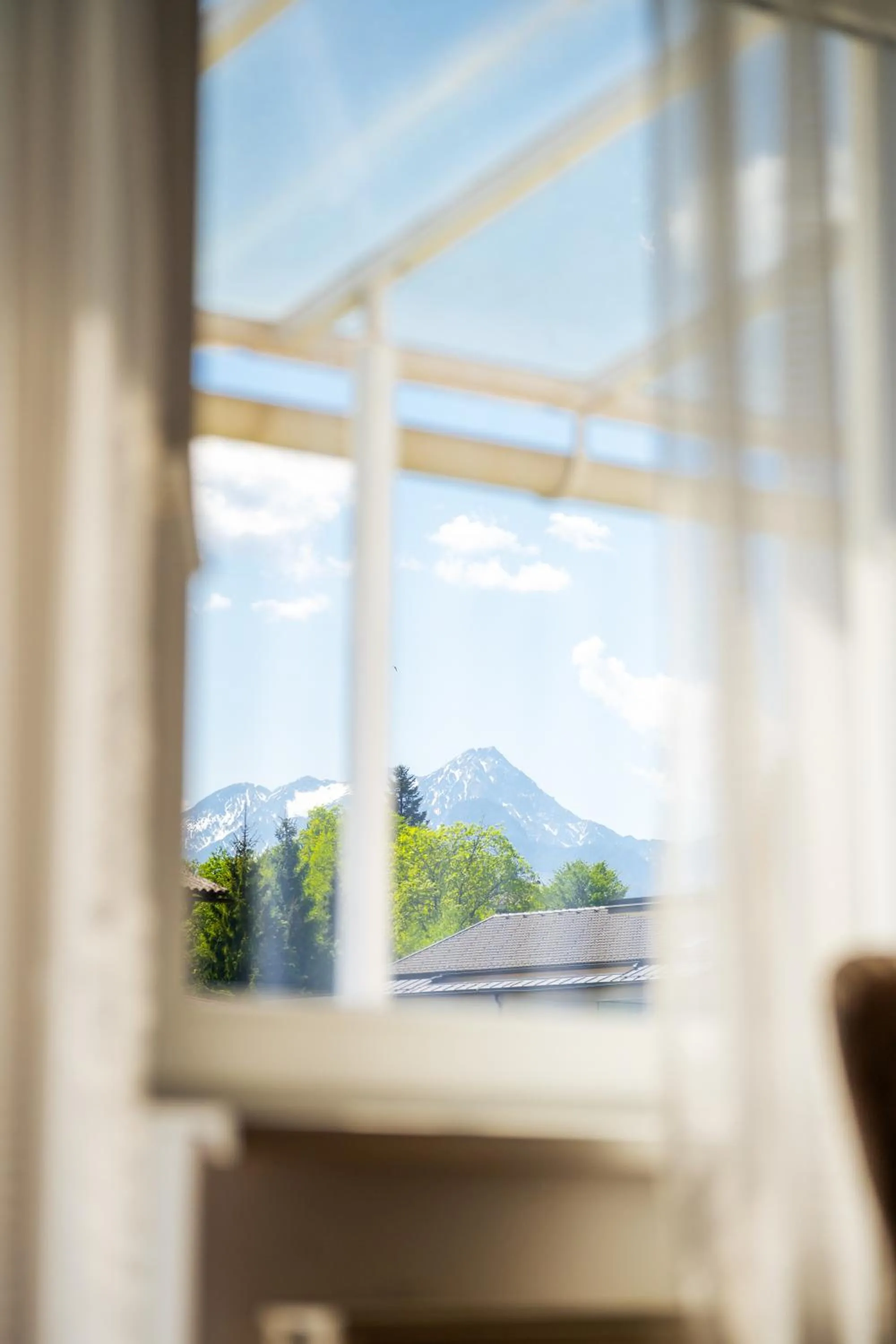 View (from property/room) in Hotel Villa Flora