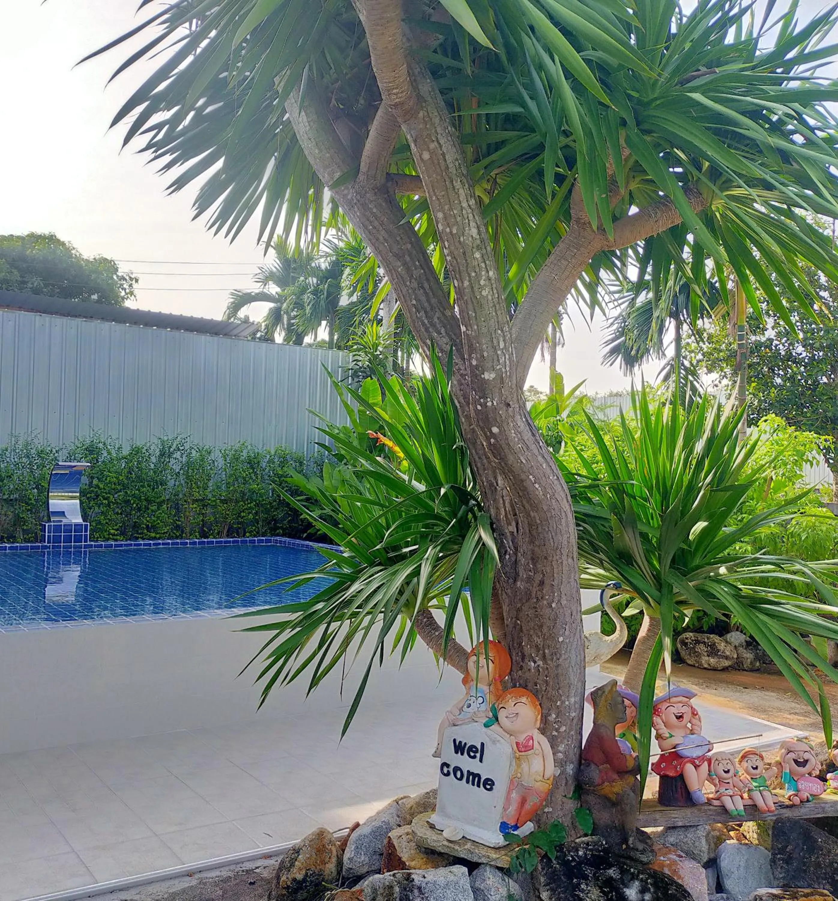 Swimming pool in Davy Cottage Phuket