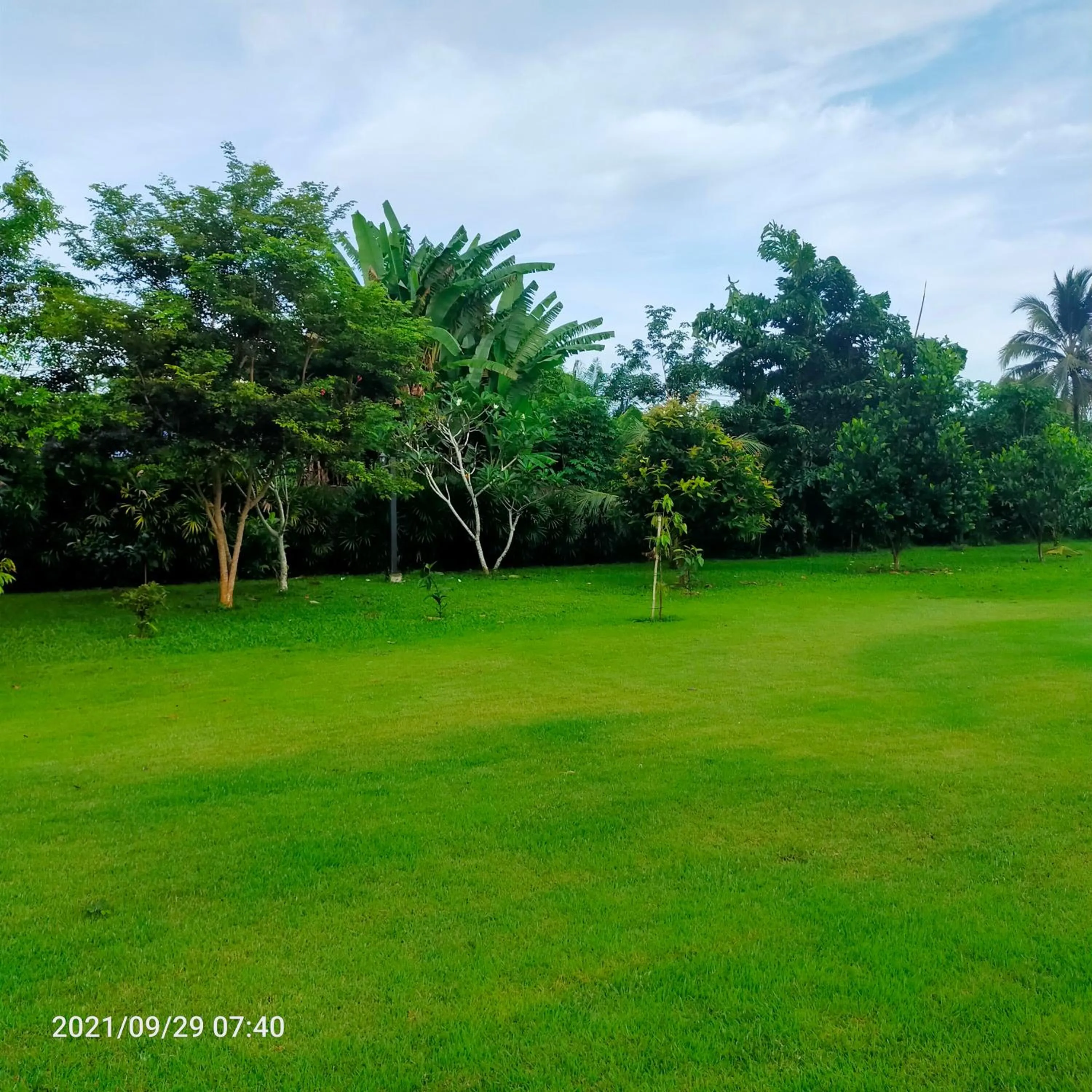 Garden view in Davy Cottage Phuket