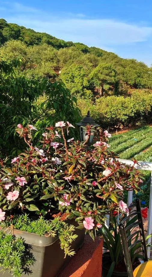 Natural landscape in Khushi Riverside Resort & Spa