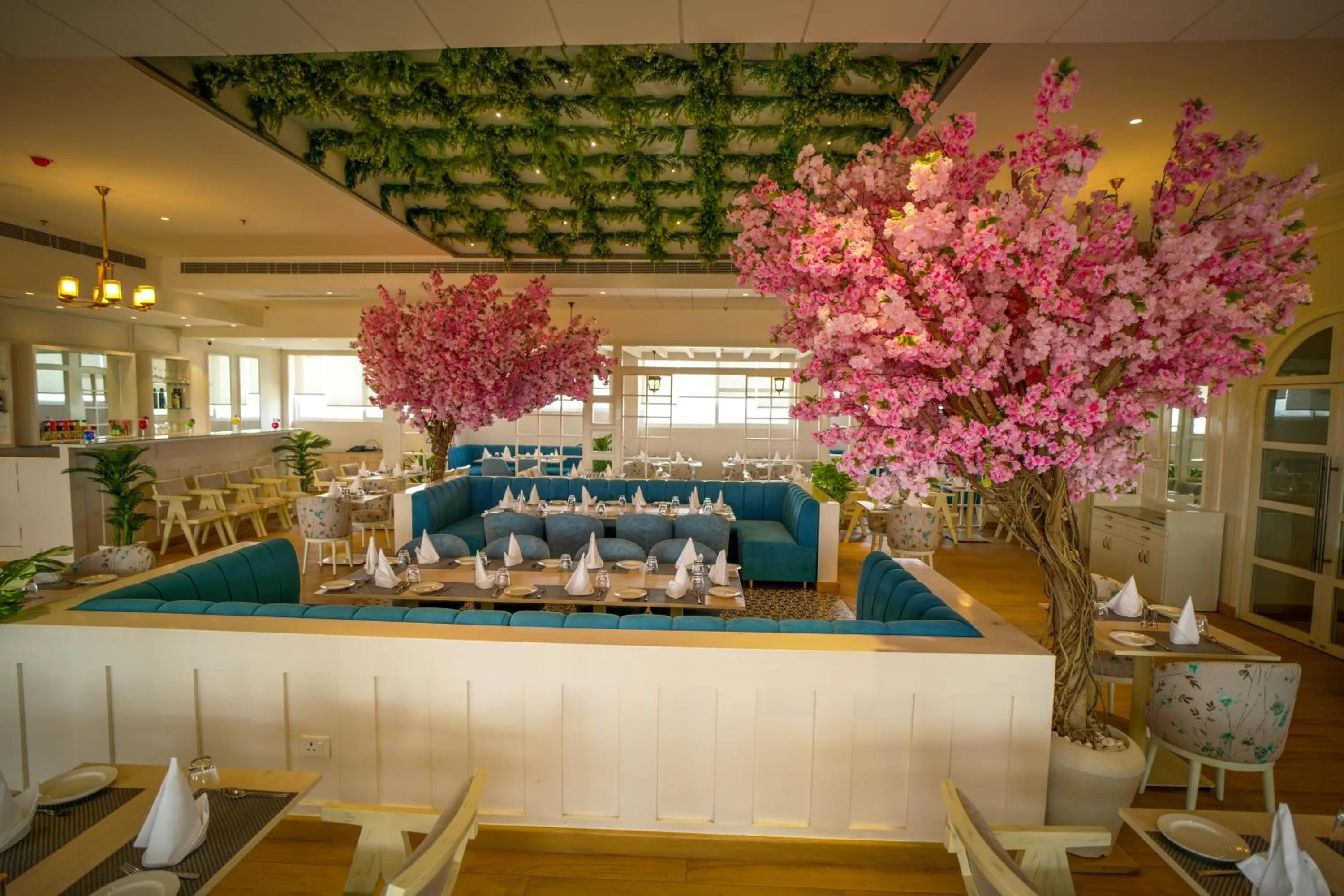 Restaurant/places to eat in Hotel Krinoscco