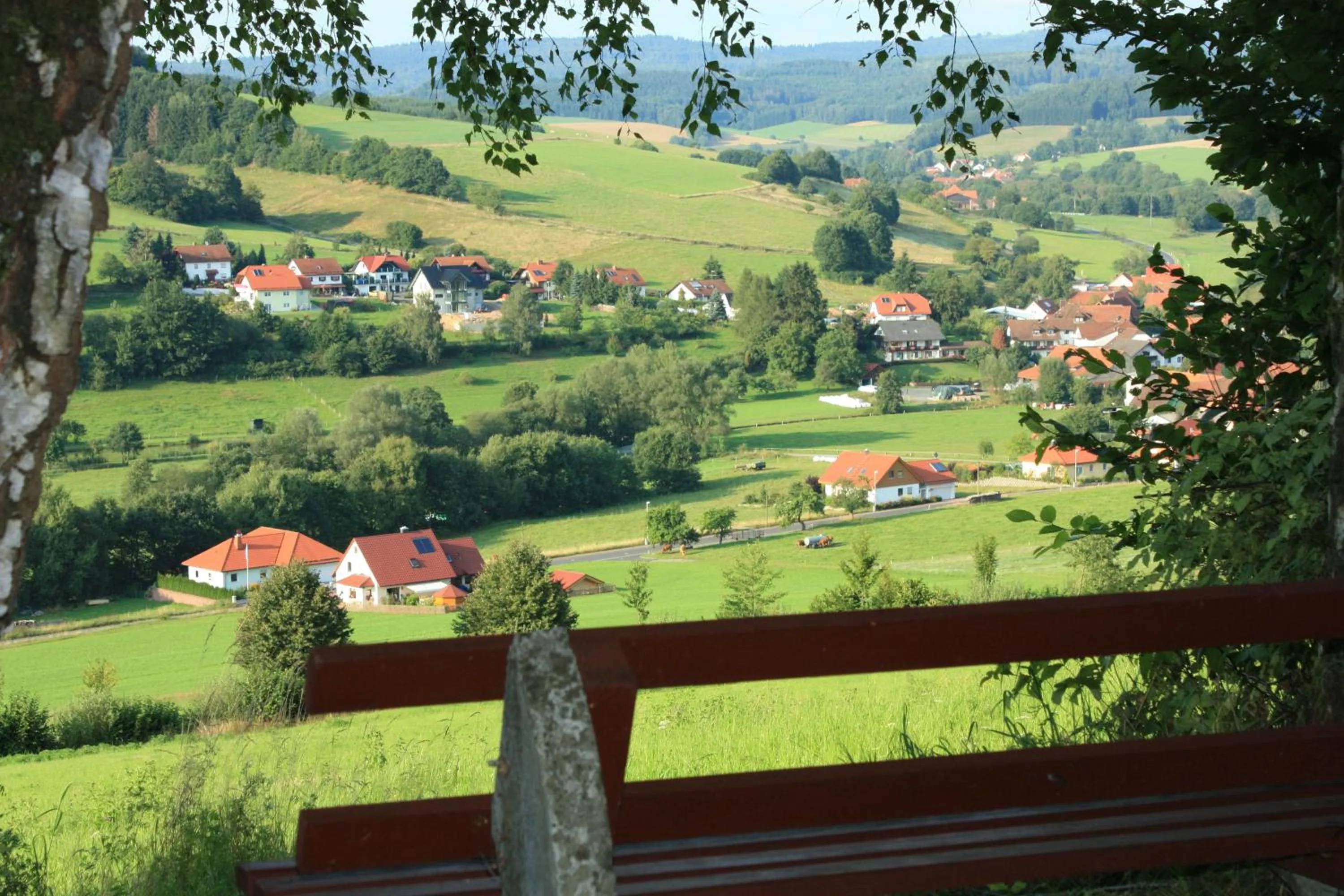 Natural landscape in Hotel Gasthof zum Biber
