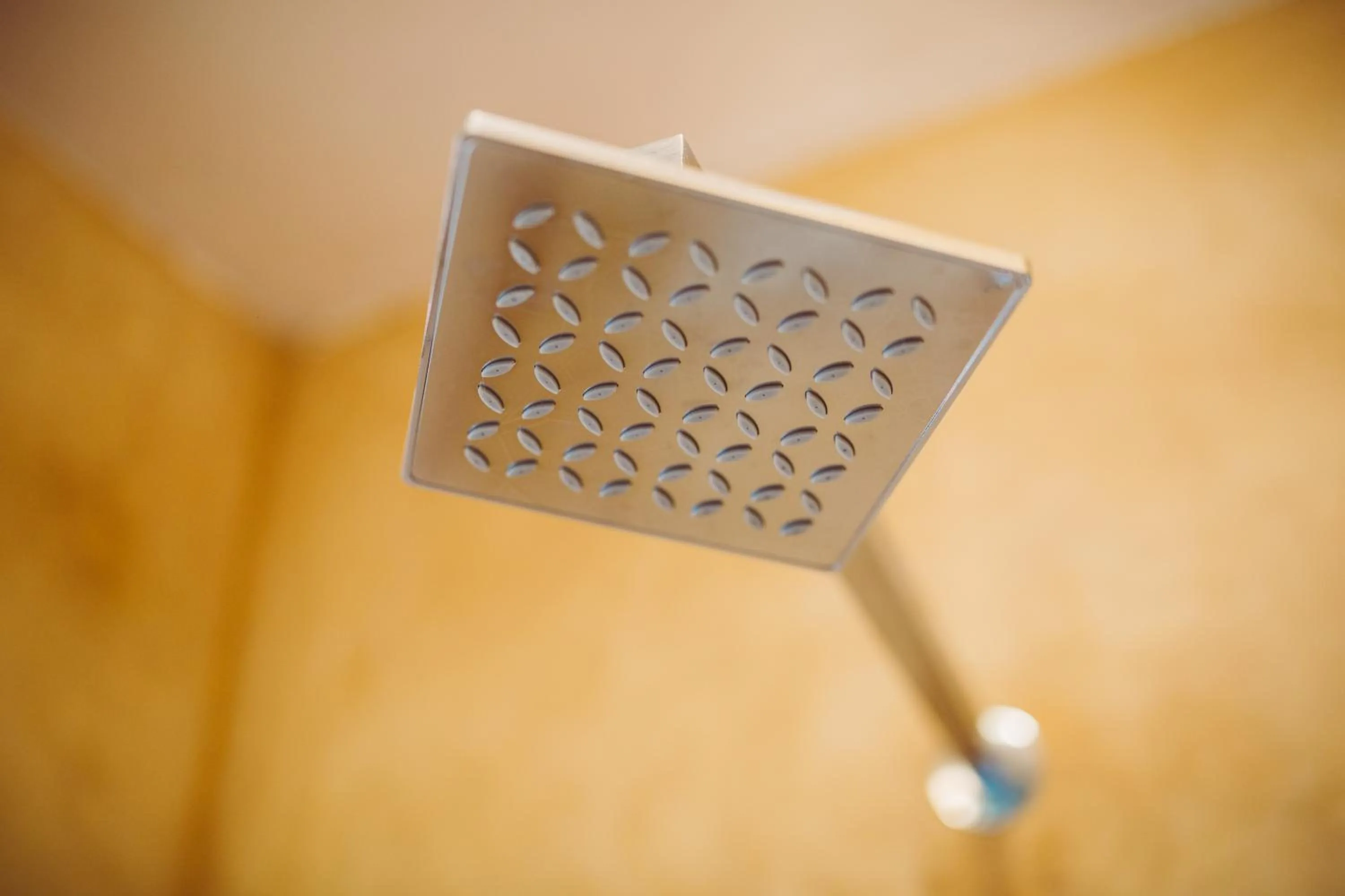 Nalanda Retreat Goa By Mandrem Beach