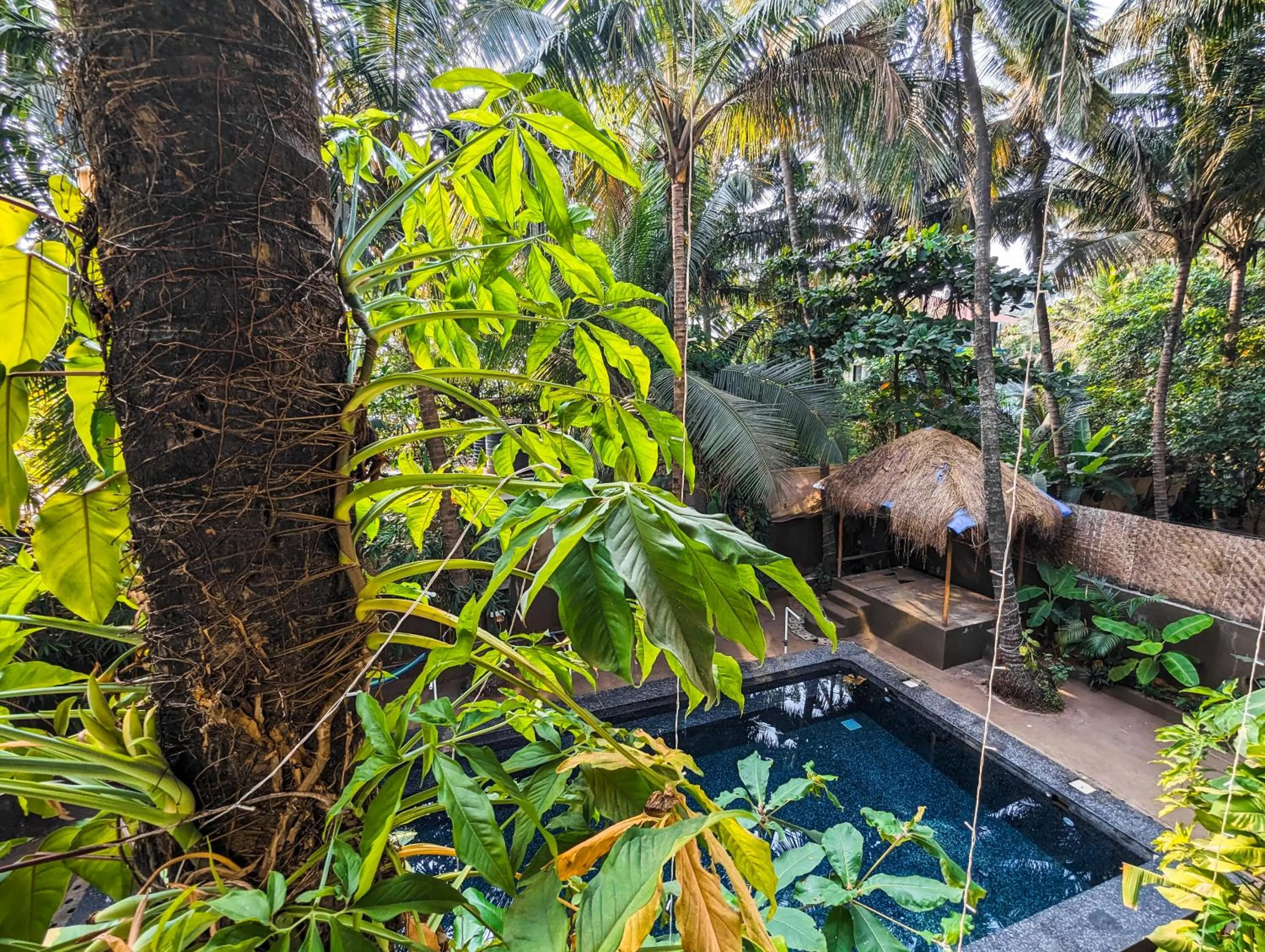 Nalanda Retreat Goa By Mandrem Beach