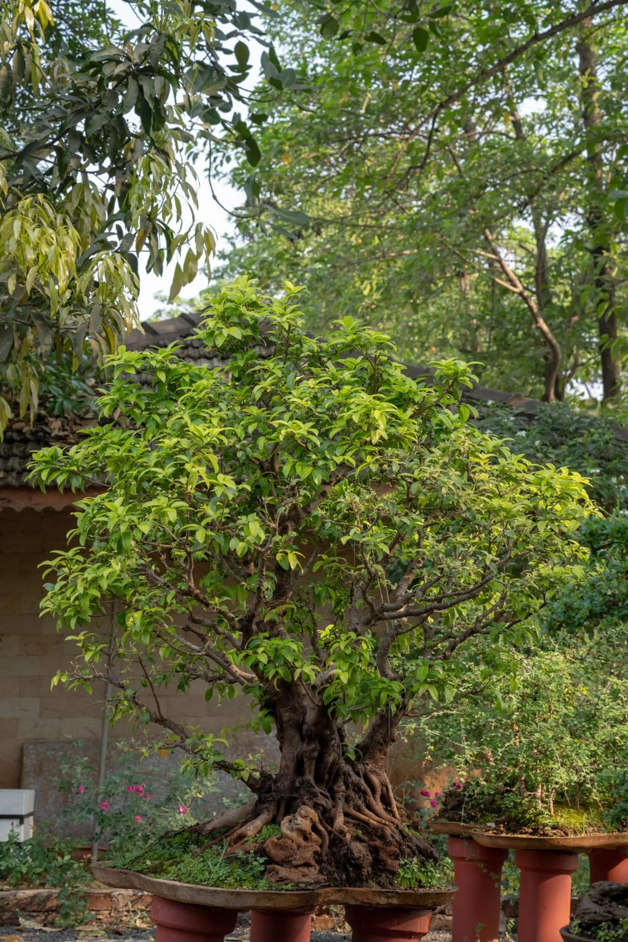 Garden in U Rivergate Resort & Spa, Karjat