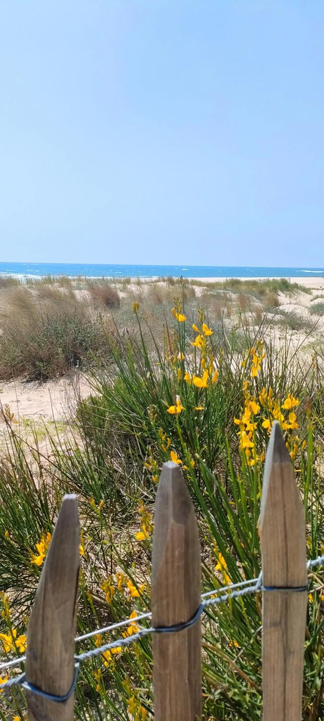 La Cabane Bohème, Maison d'hôtes Bassin d'Arcachon